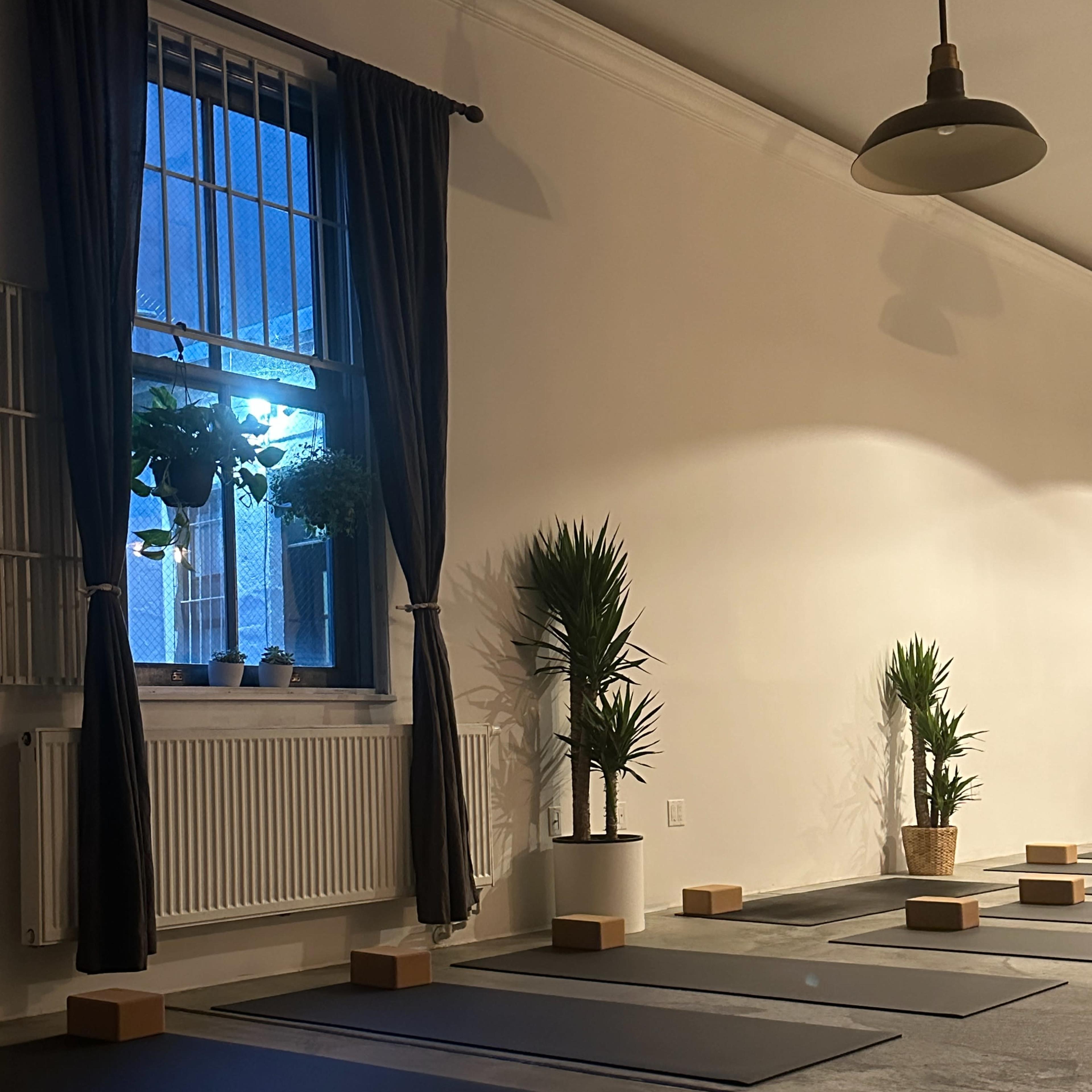 A yoga studio features several mats arranged on the floor, illuminated by a soft blue light coming from a window with potted plants nearby.