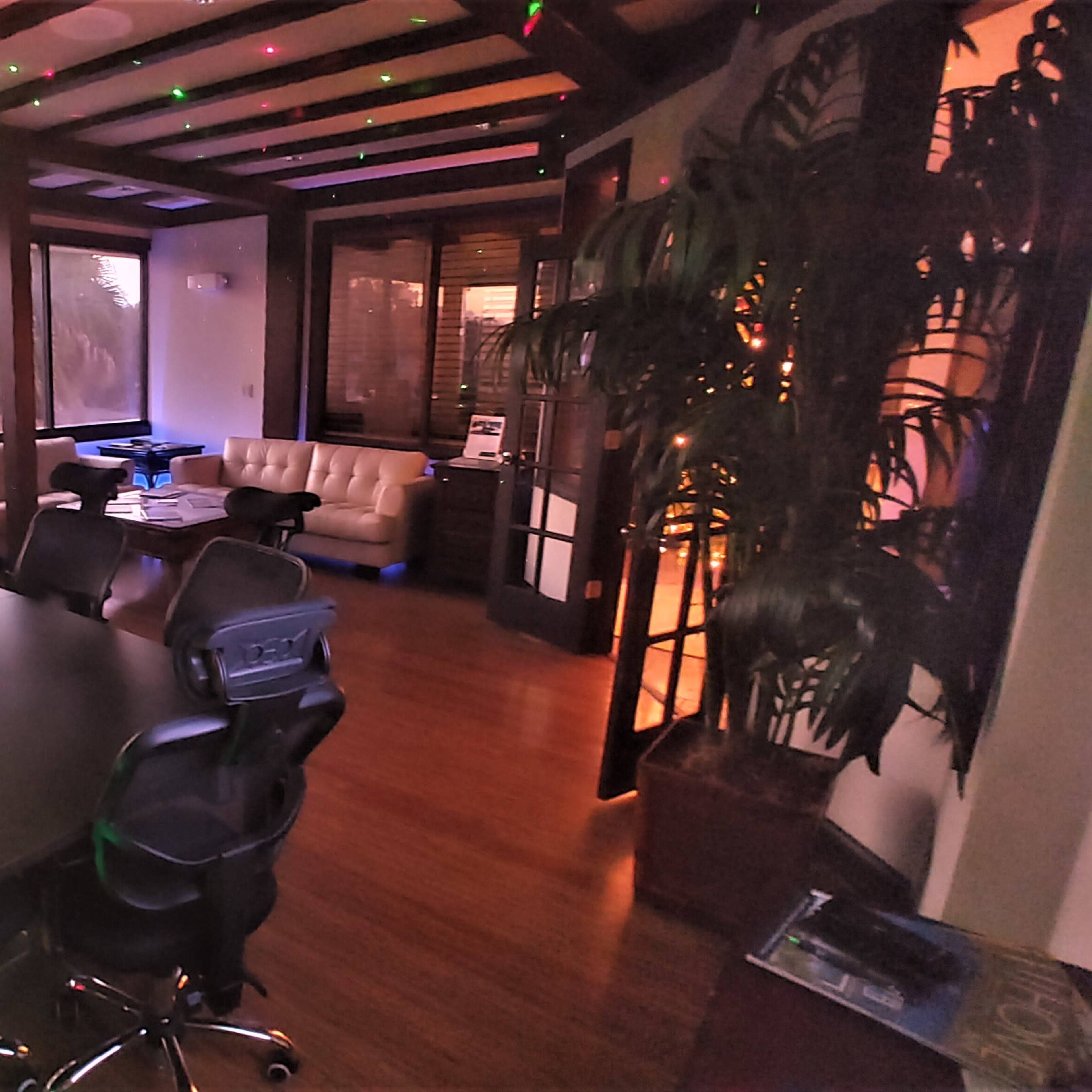 A modern conference room features a long black table surrounded by ergonomic chairs, with large windows offering a view of trees and a soft ambient light from multiple sources.