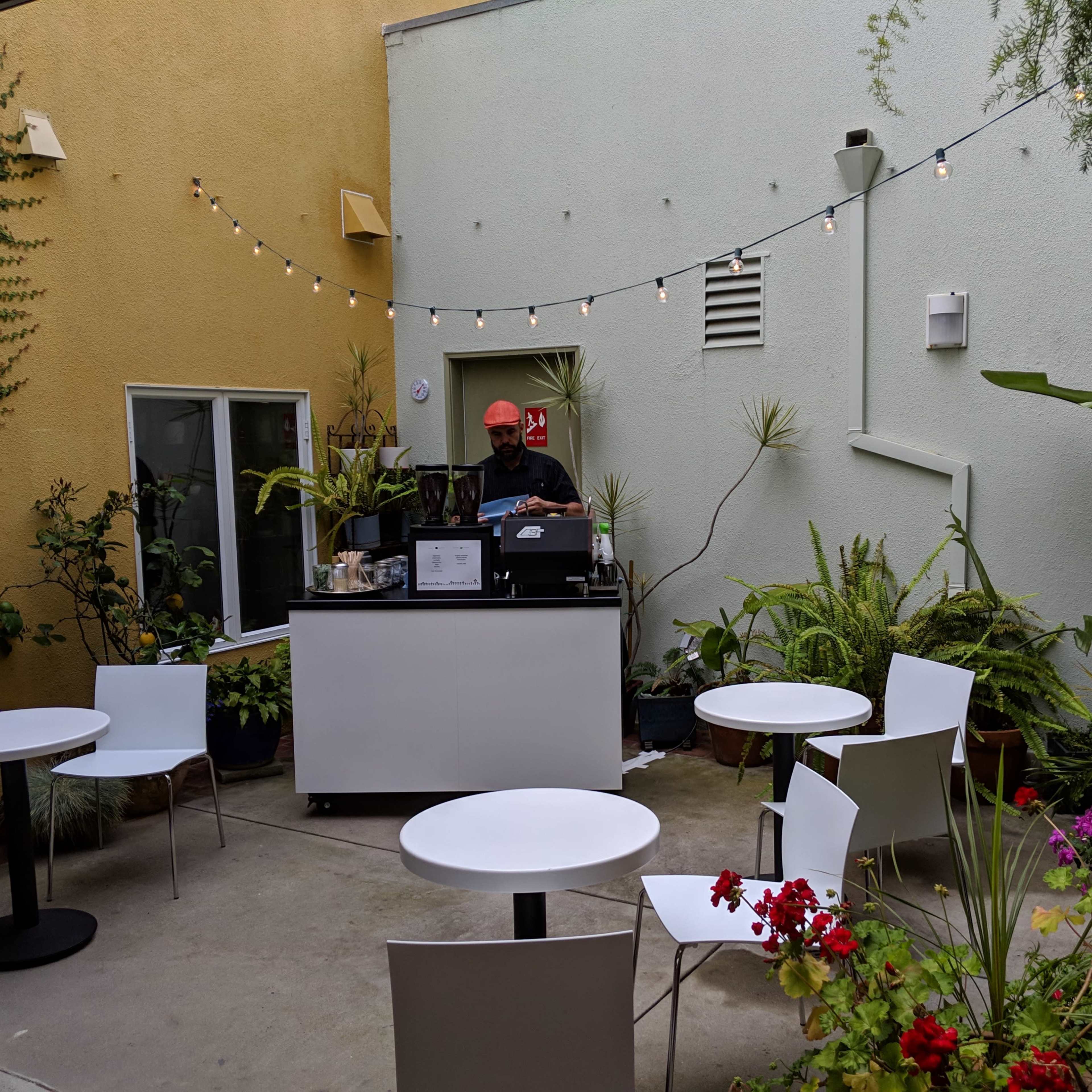 A man stands behind a white counter in a small outdoor café surrounded by potted plants and string lights.