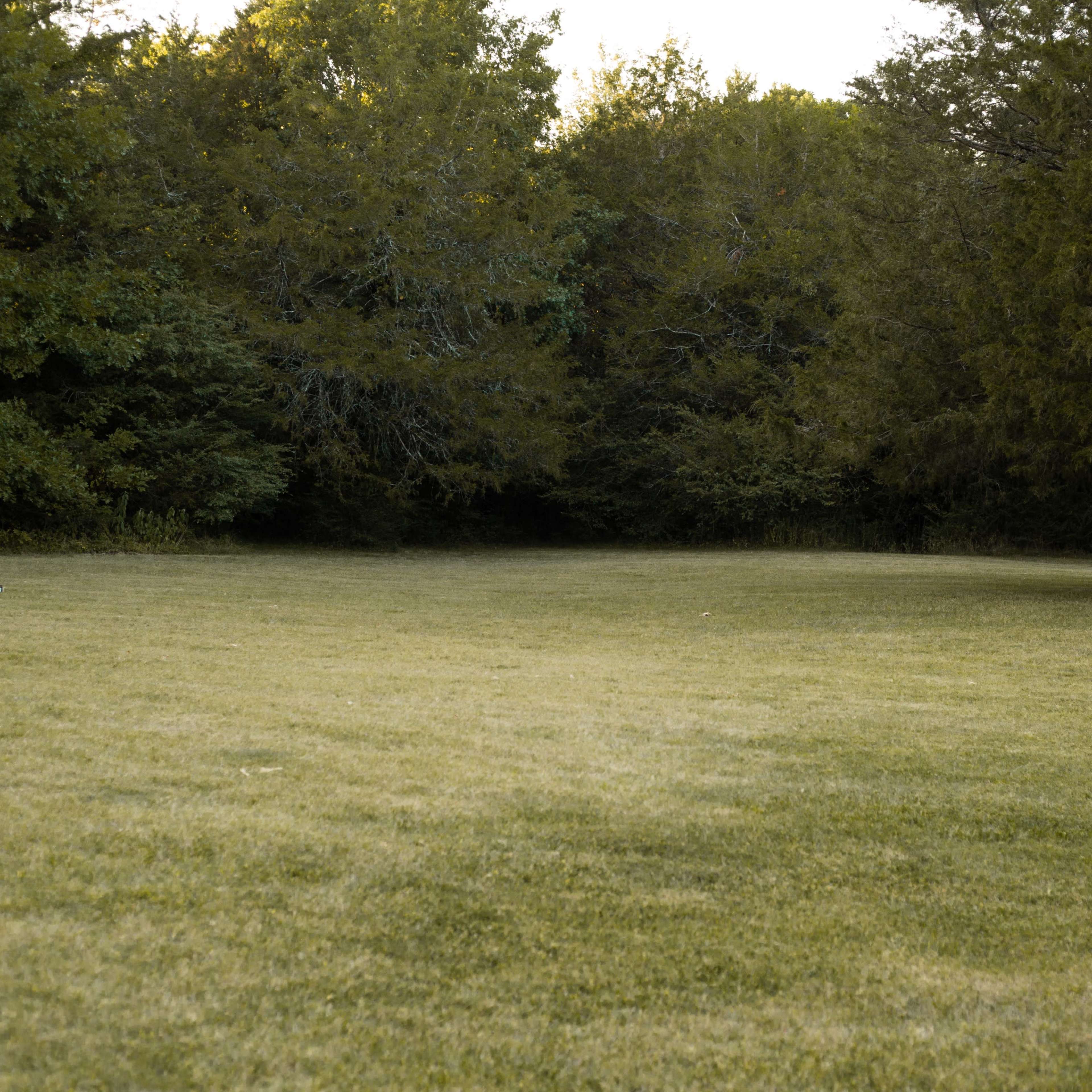 A grassy field bordered by trees on two sides, leading to a dense wooded area in the background.