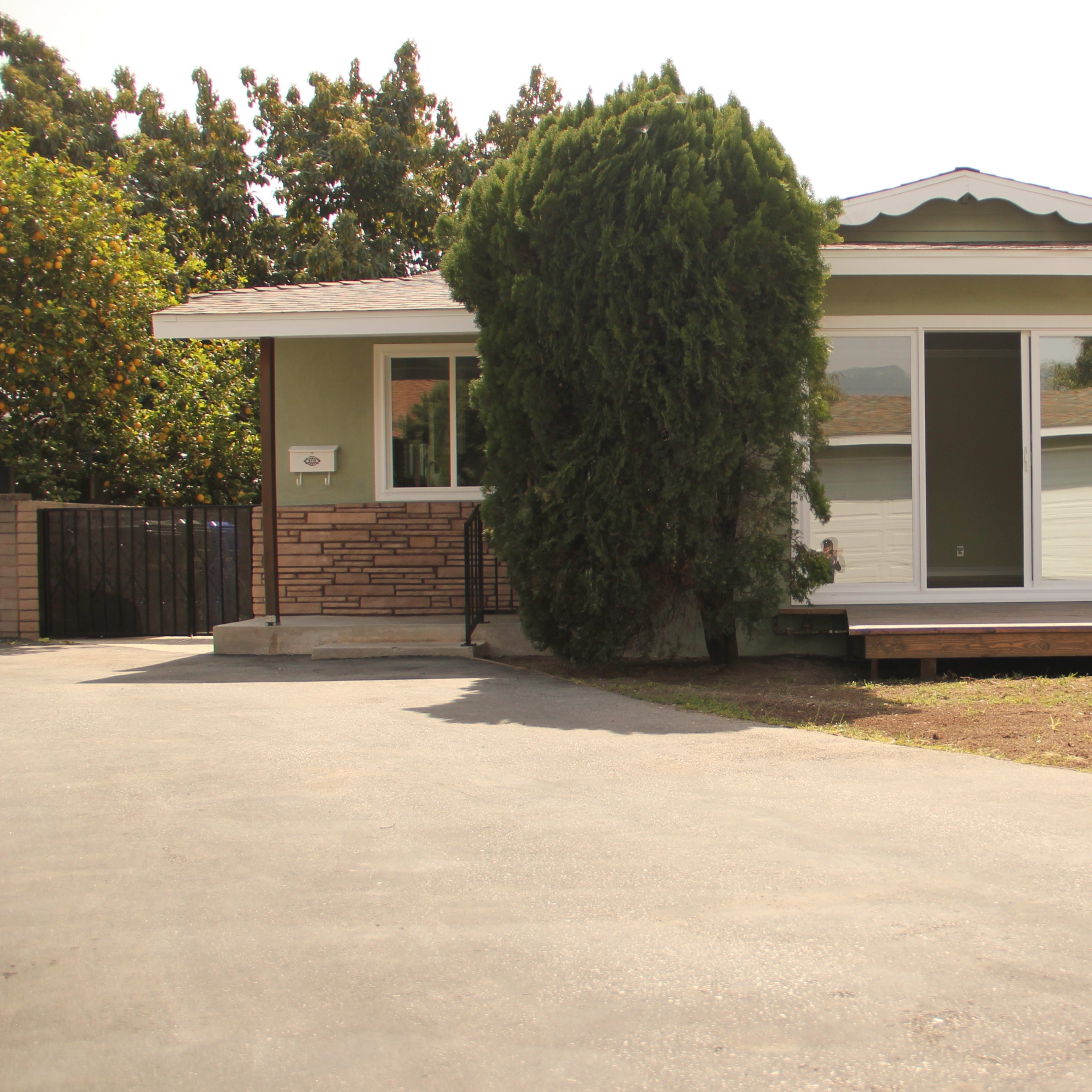A single-story house with large front windows, a porch, and a tall, bushy tree in the front yard.