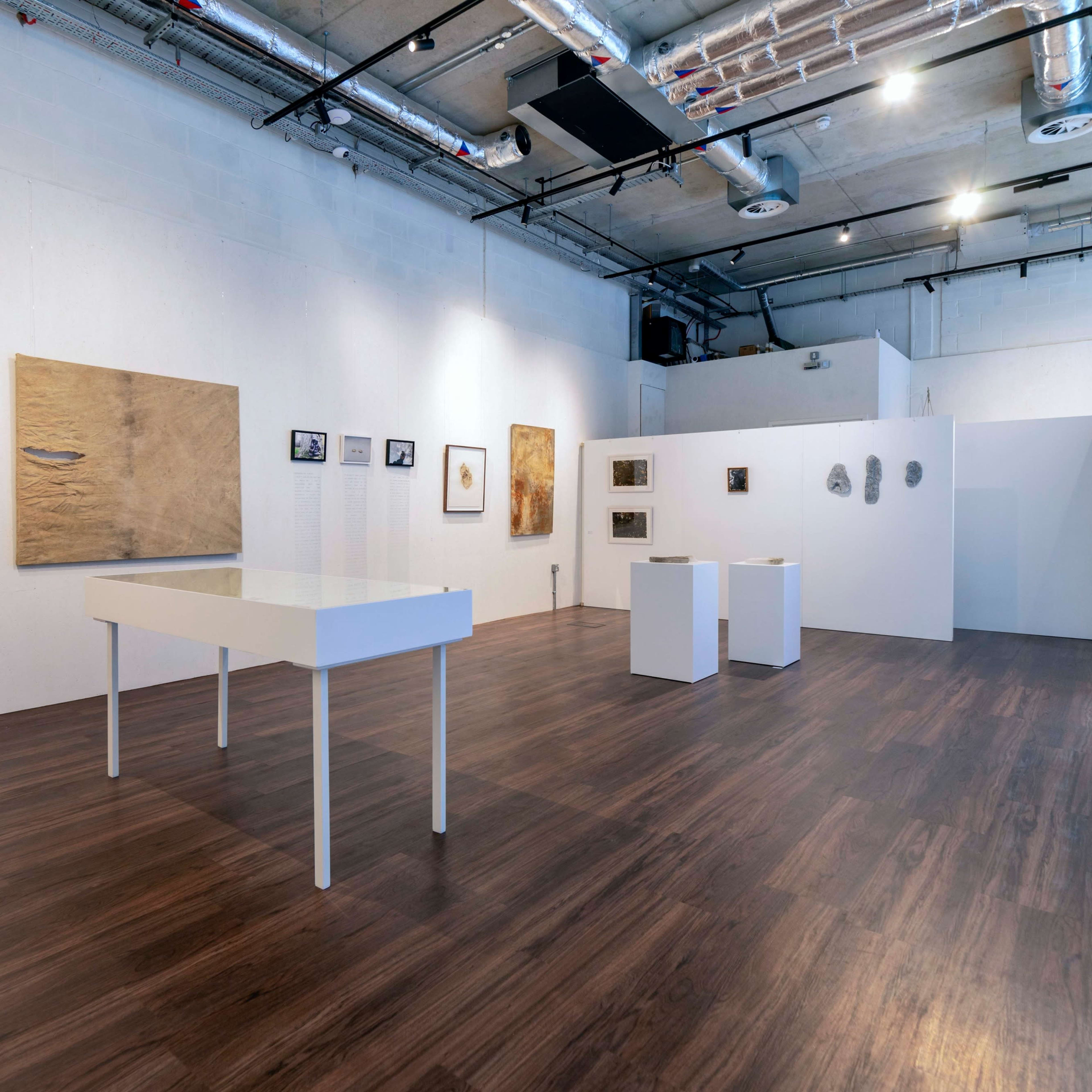 A modern art gallery with white walls, wooden flooring, and various framed artworks displayed on the walls and on white pedestals.