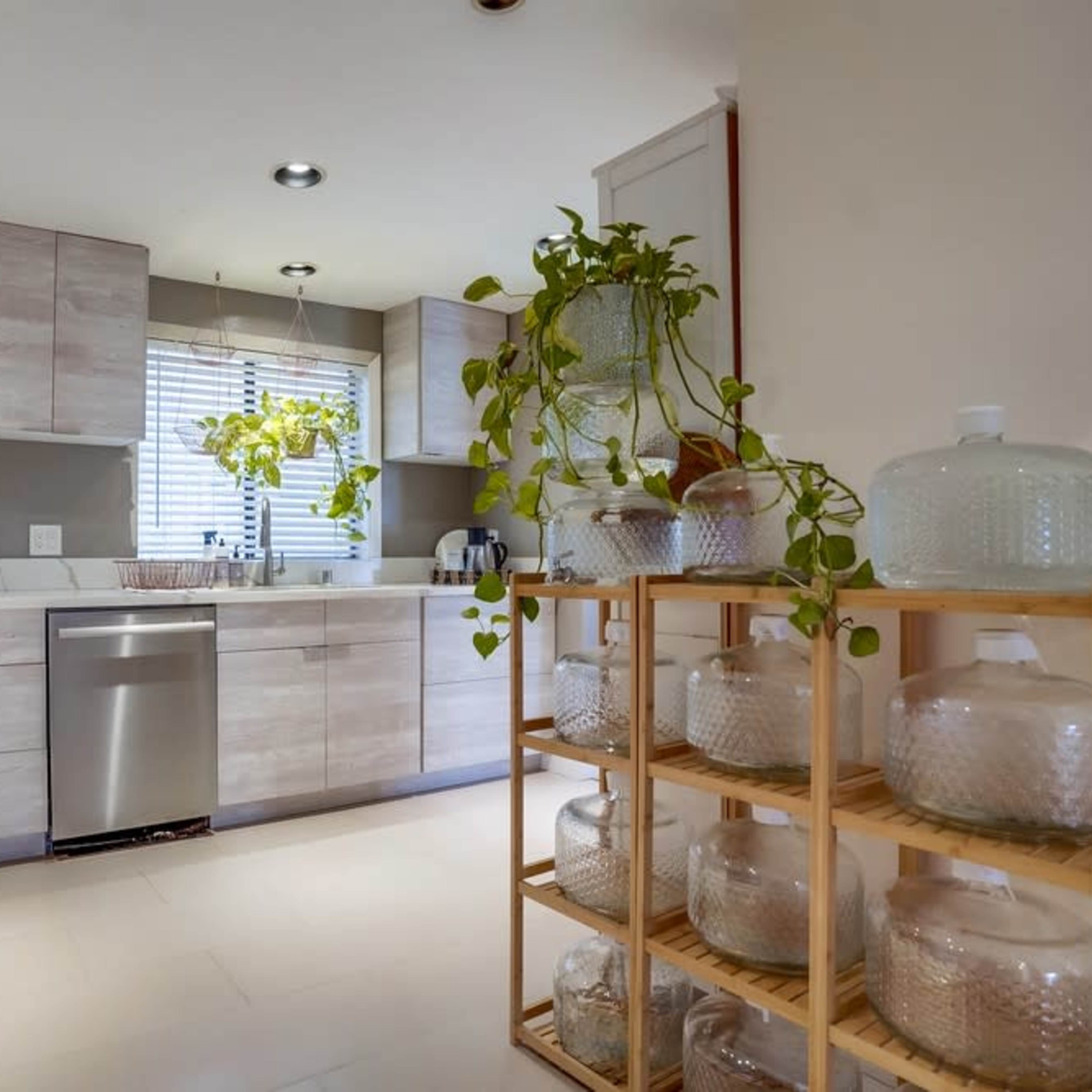 A modern kitchen with light wood cabinetry, a window with potted plants, and glass storage jars on a wooden shelf.