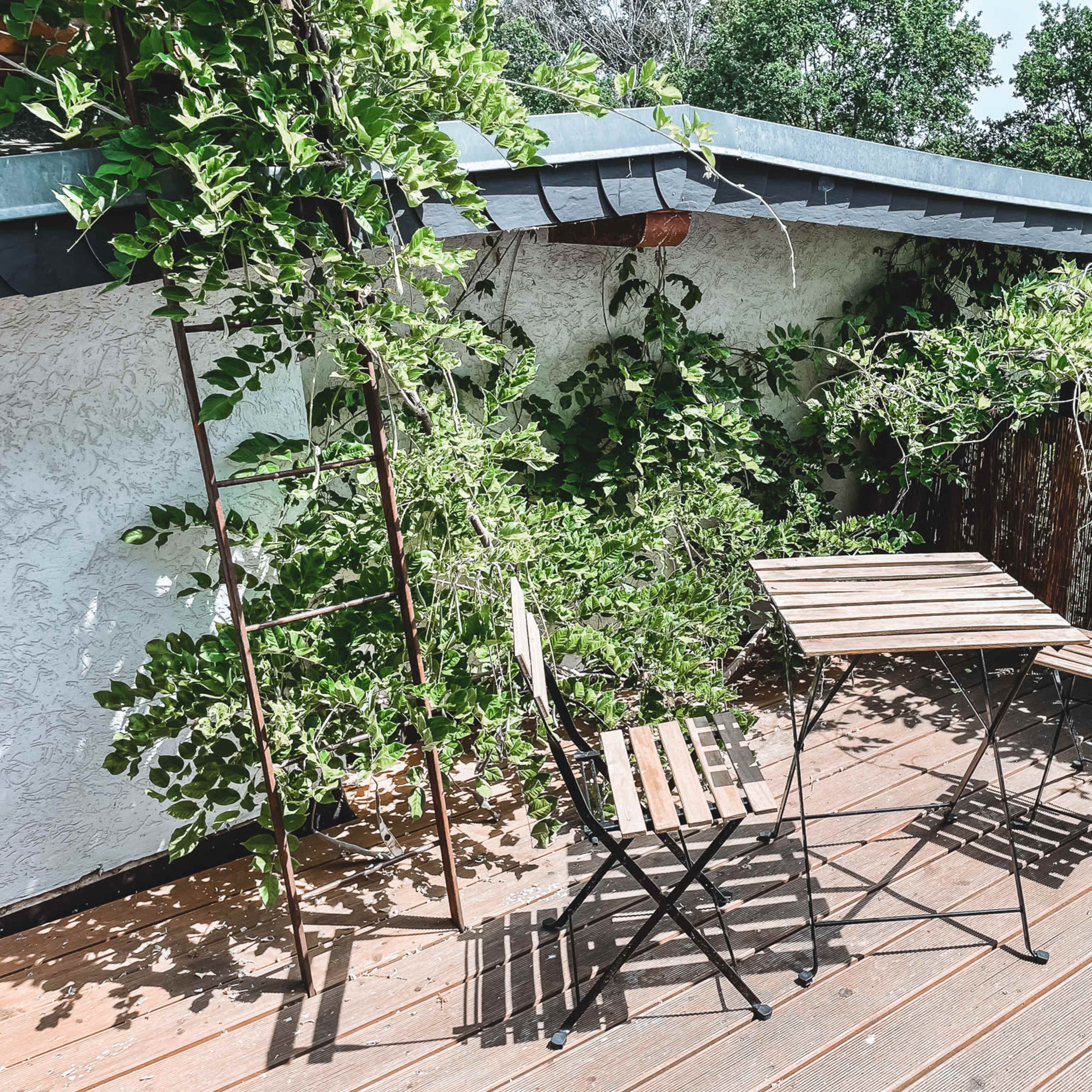 A small outdoor seating area features a wooden table and two chairs surrounded by greenery and a bamboo privacy screen.
