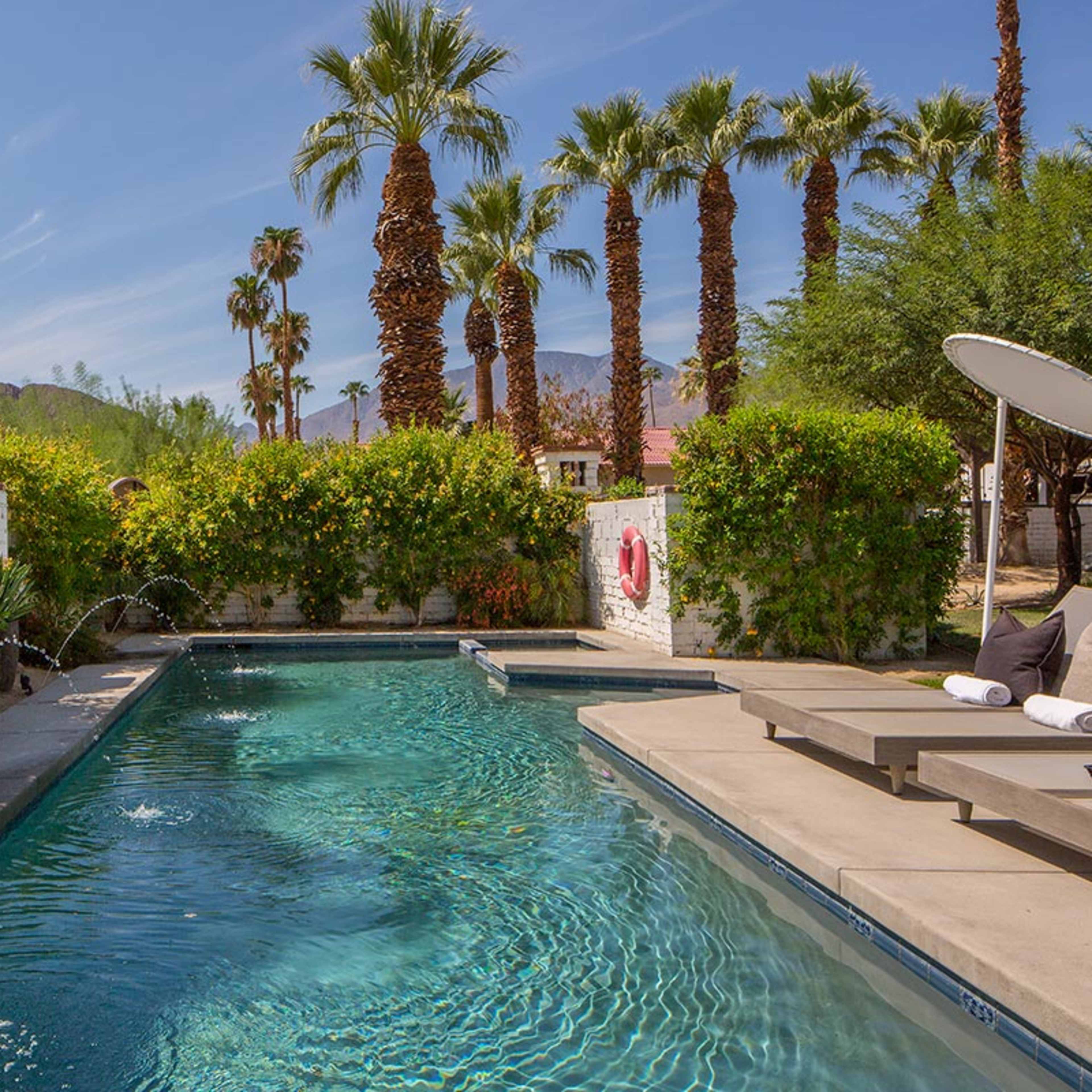 A glistening swimming pool surrounded by palm trees and lush greenery under a clear blue sky.