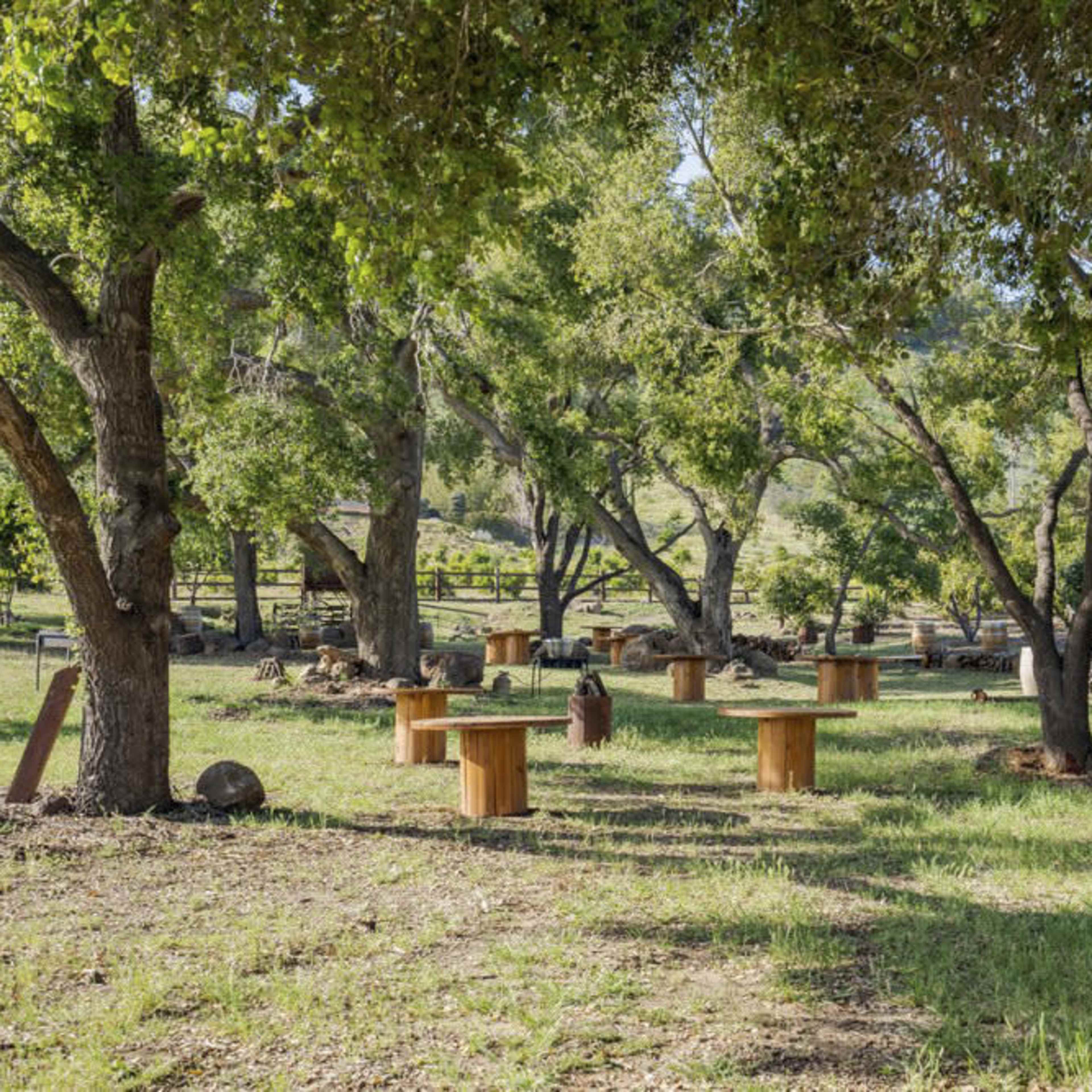 A tranquil outdoor space features several wooden tables surrounded by green trees and grassy terrain.