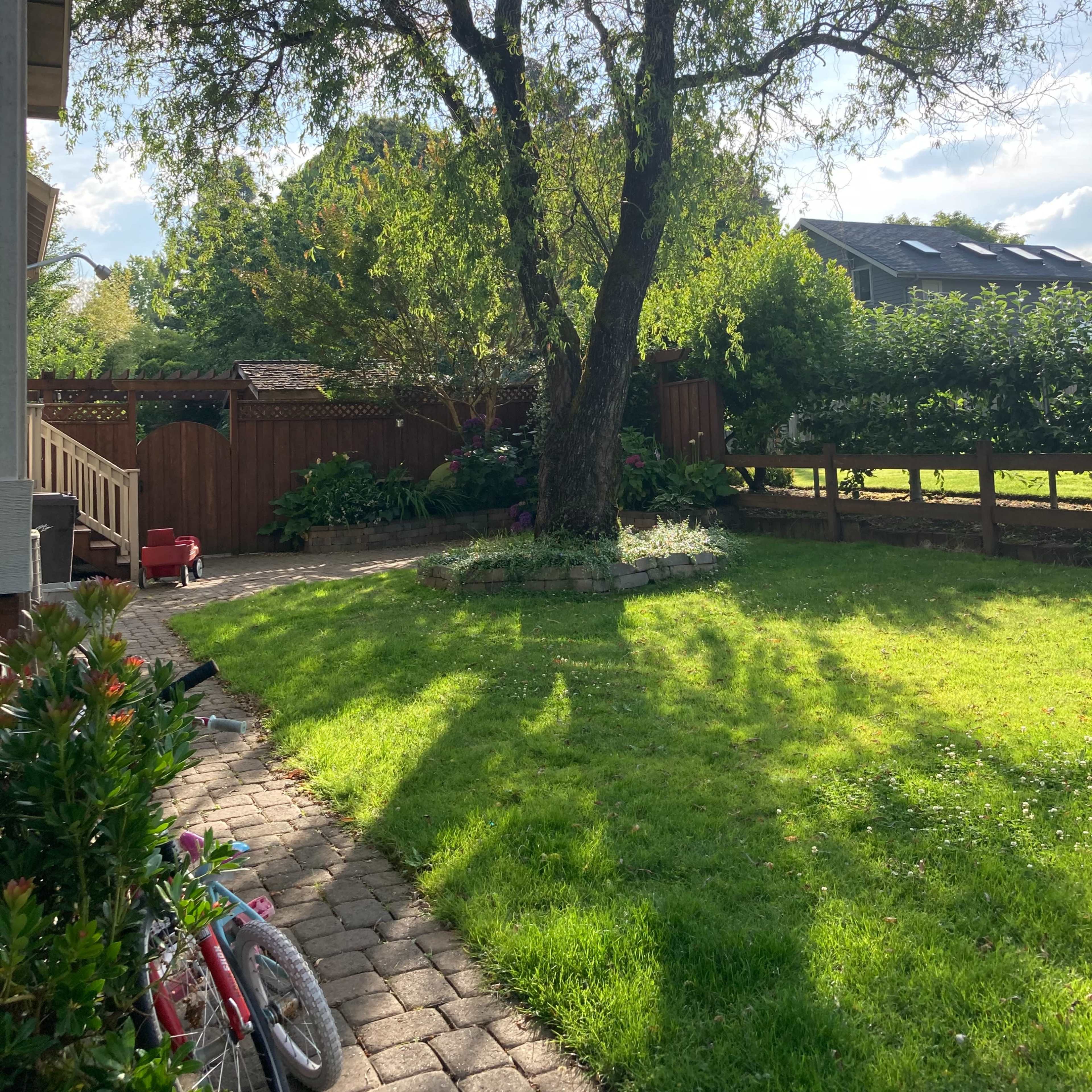 A large tree casts shadows on the grassy yard, surrounded by a stone pathway and garden greenery.