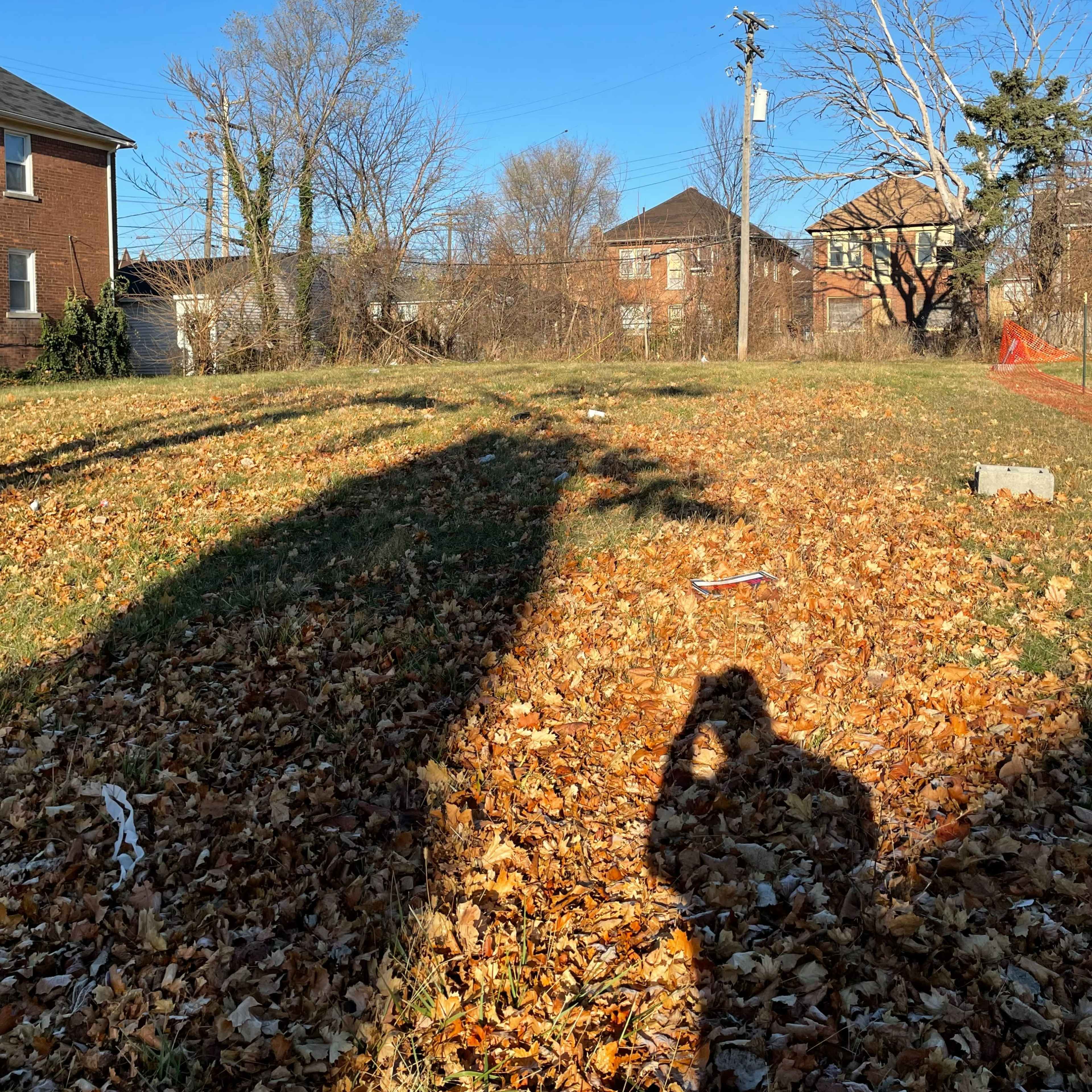An open field covered in fallen leaves, with shadows cast by trees and buildings in the background under a clear blue sky.