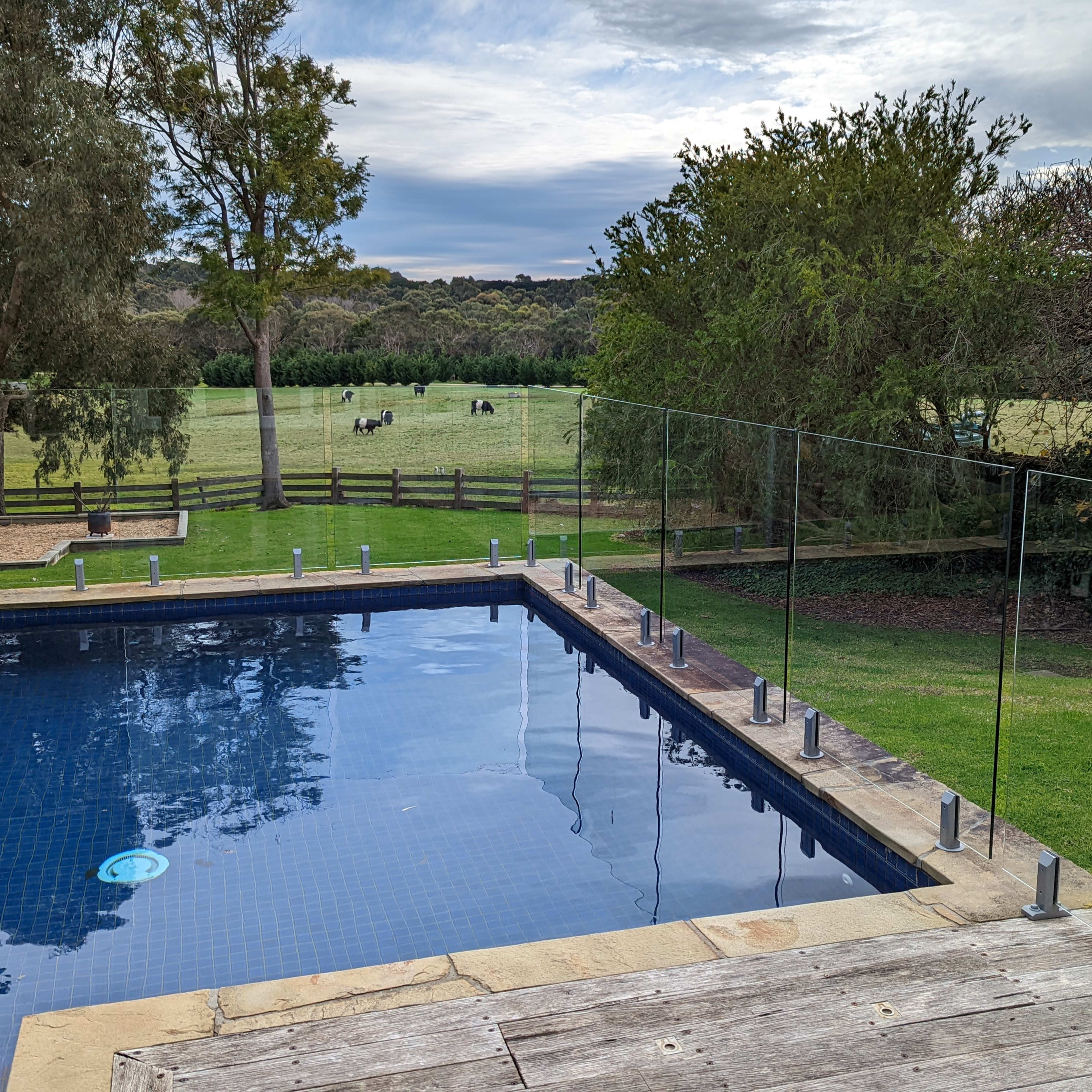A rectangular swimming pool with a glass fence surrounded by green grass and a field with horses in the background.