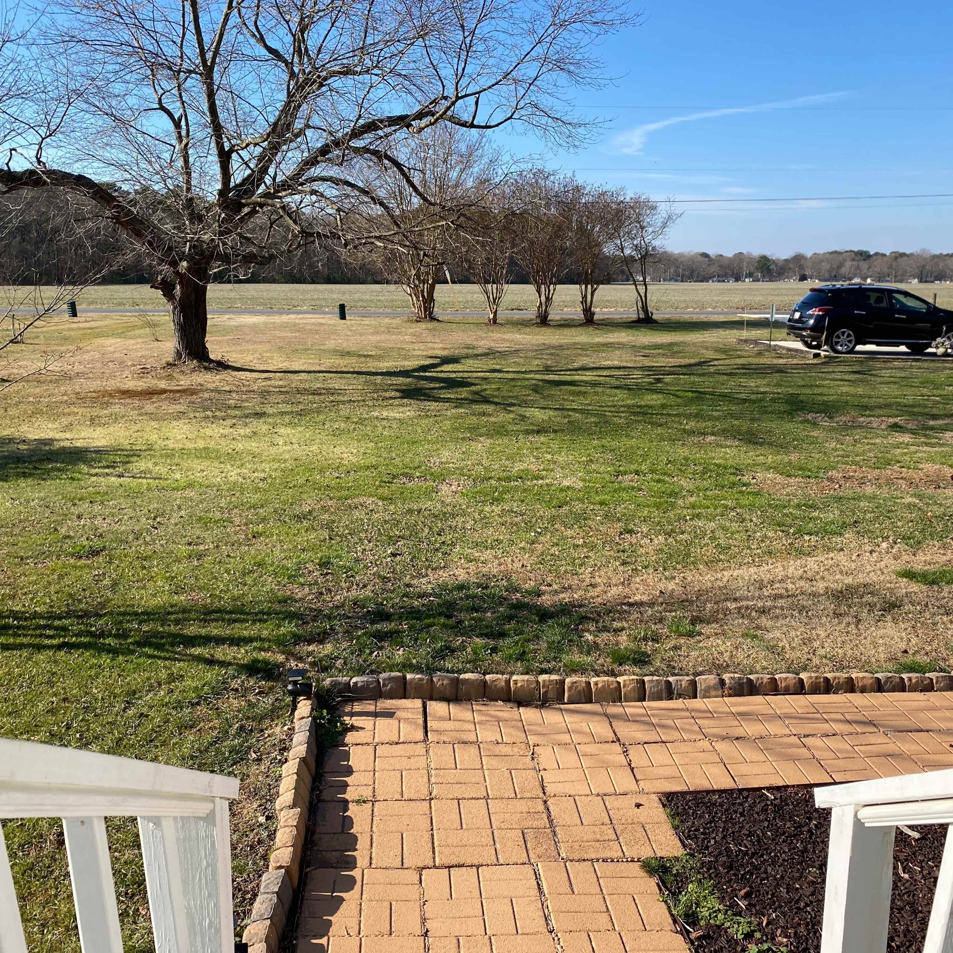 A view of a grassy yard with a car parked on a driveway, surrounded by trees and a clear blue sky.