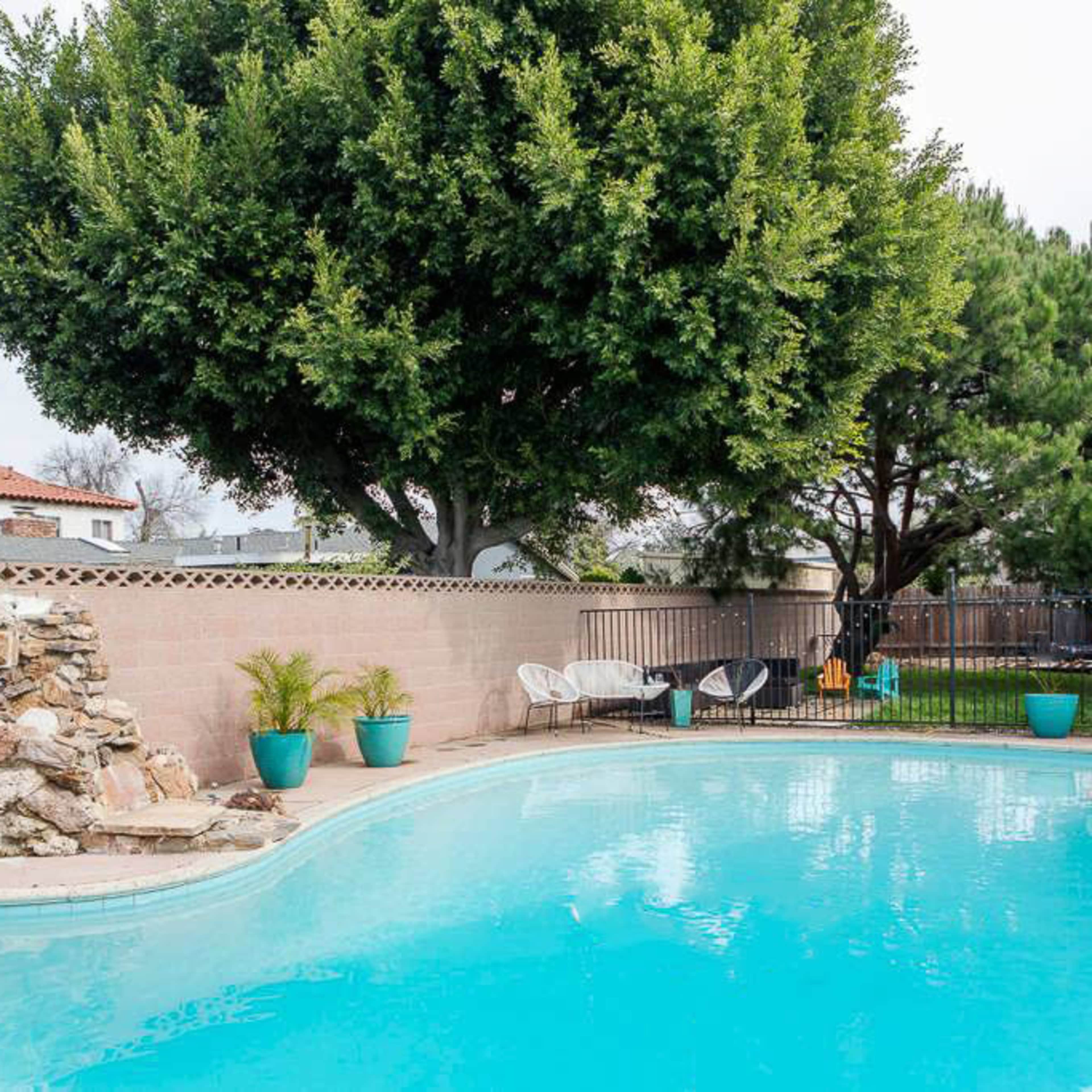 A clear swimming pool surrounded by potted plants and a stone wall, with trees and a residential area in the background.
