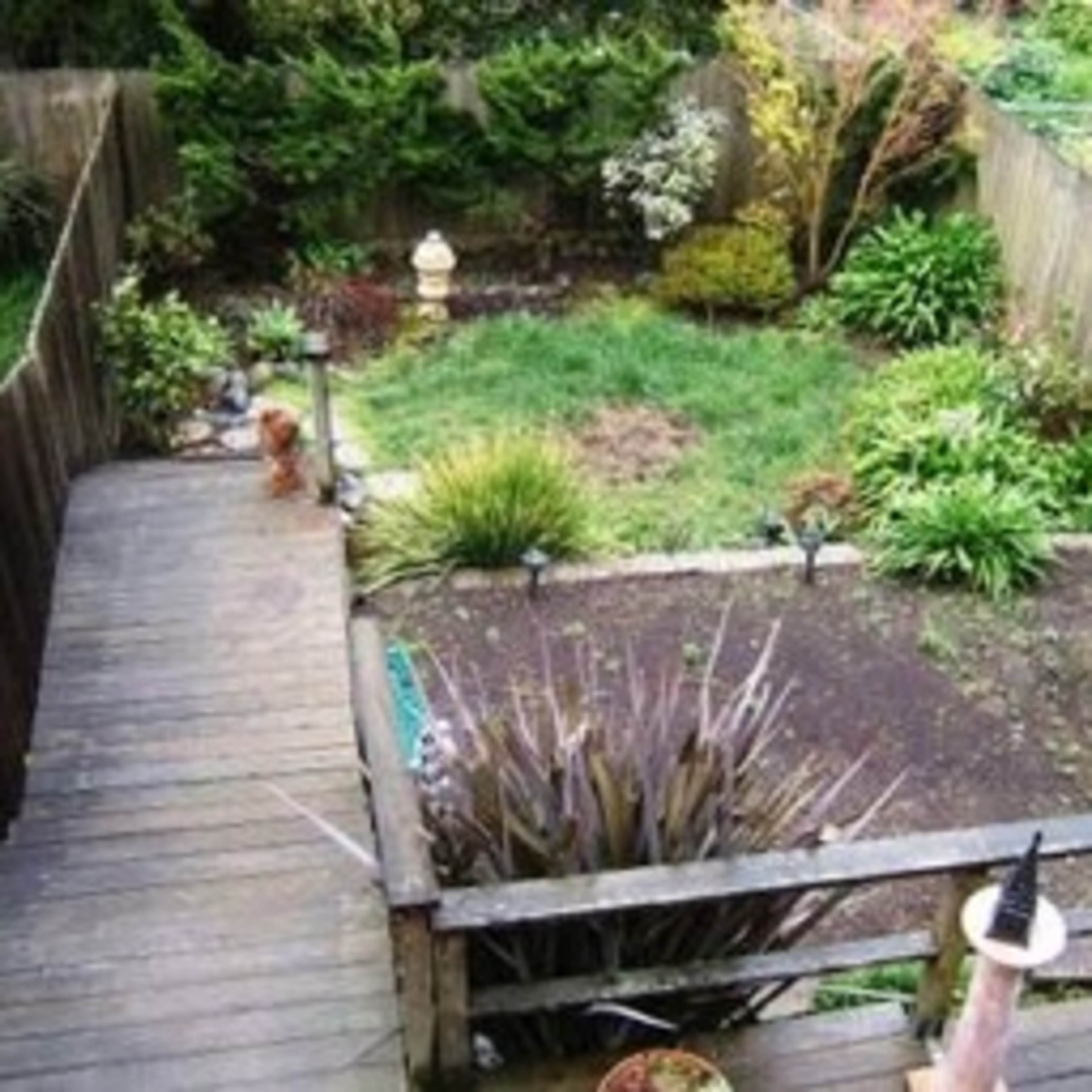 A backyard with a wooden walkway leading to a grassy area surrounded by various plants and a few garden features.