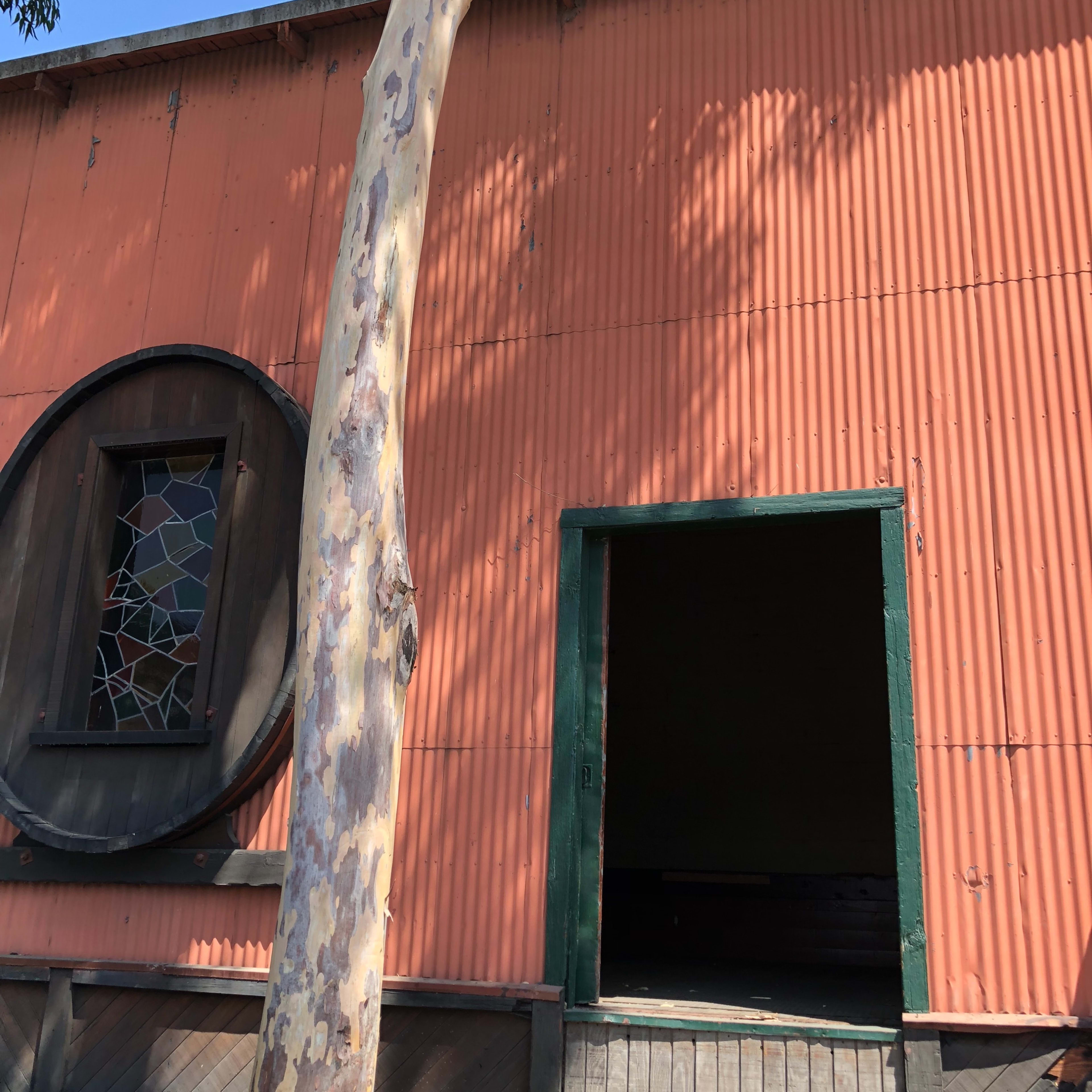 A weathered orange building with a large round window and an open doorway beneath a tall tree.