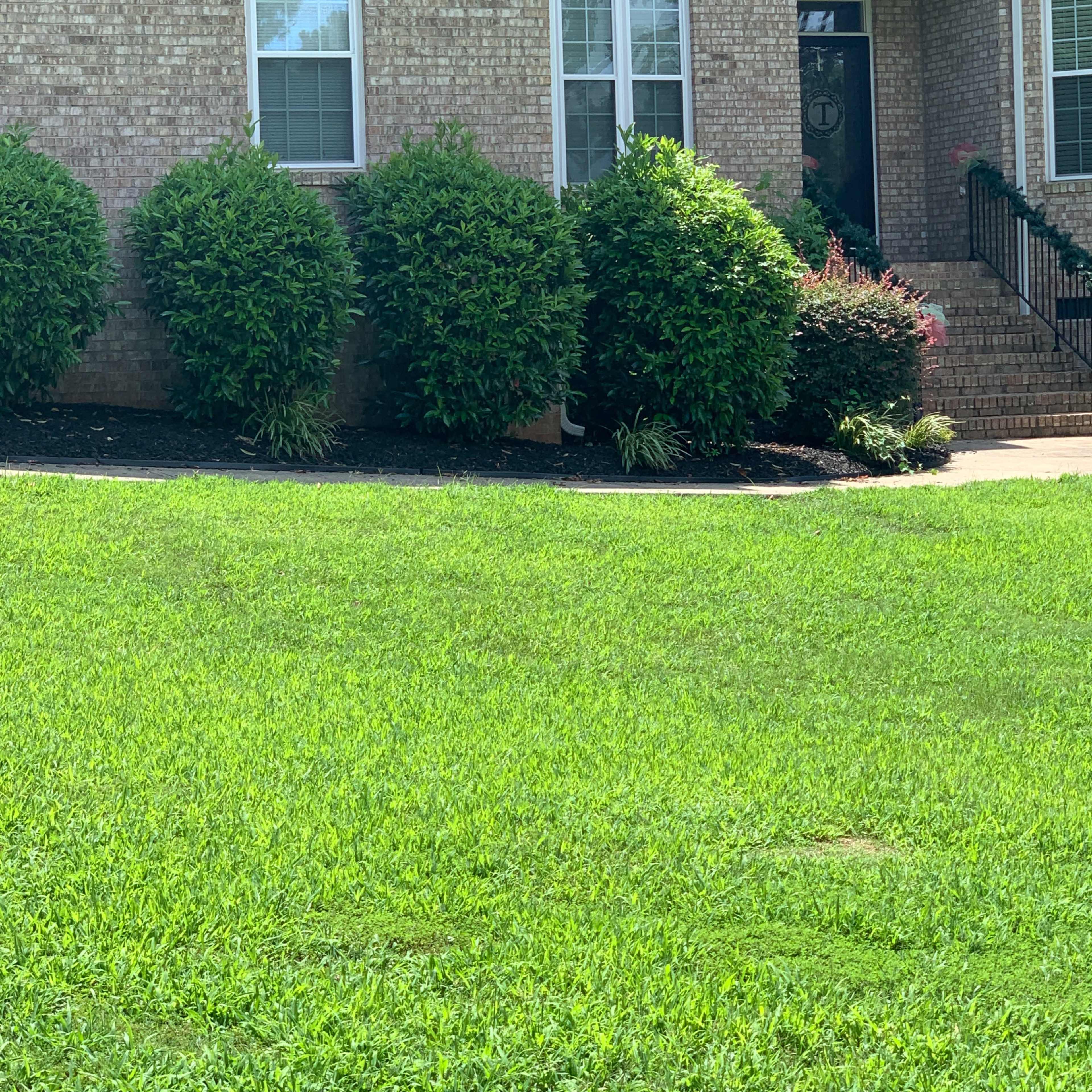 A brick house with multiple windows, surrounded by neatly trimmed bushes and a well-maintained lawn.