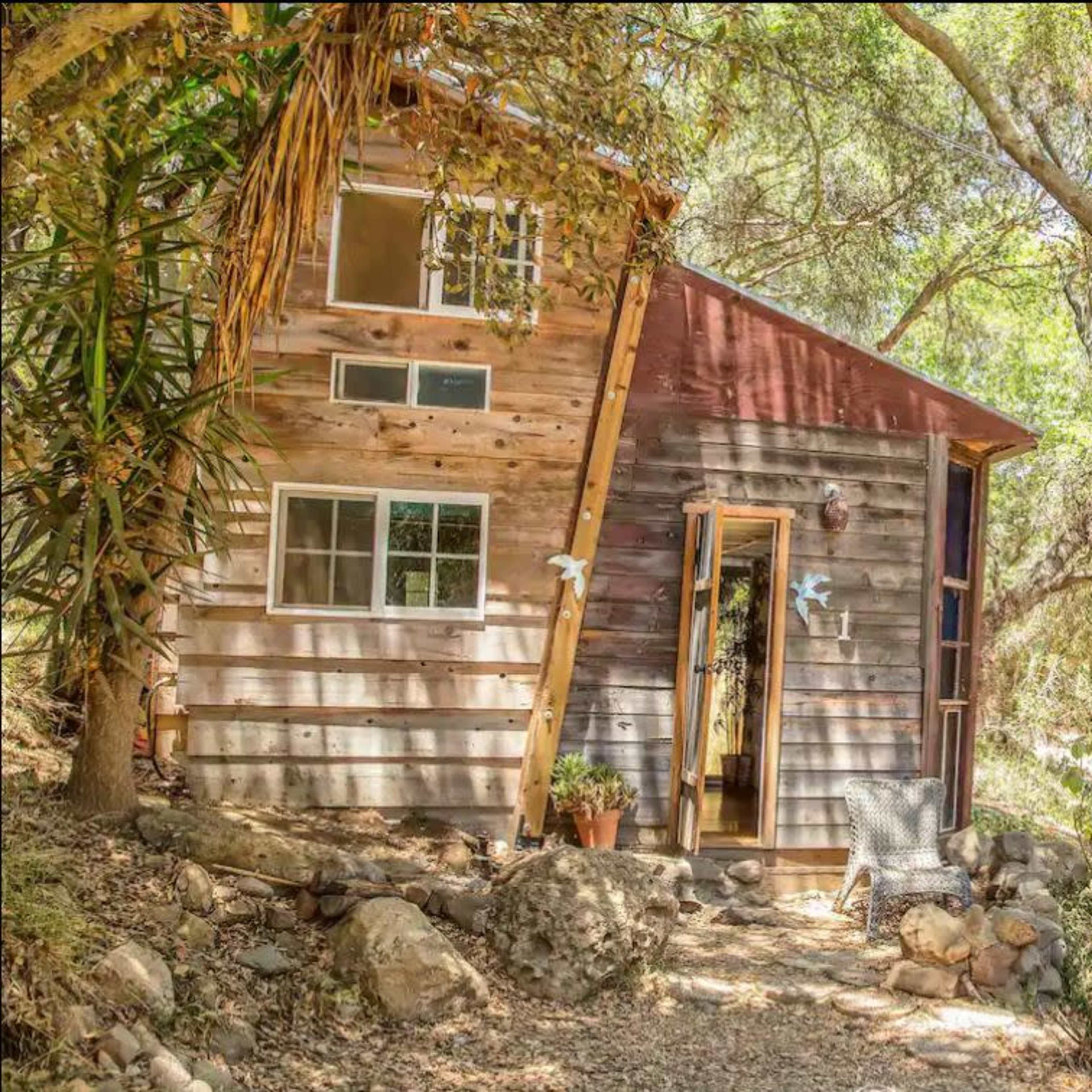 A rustic wooden cabin is nestled among trees with a stone pathway leading to its entrance.