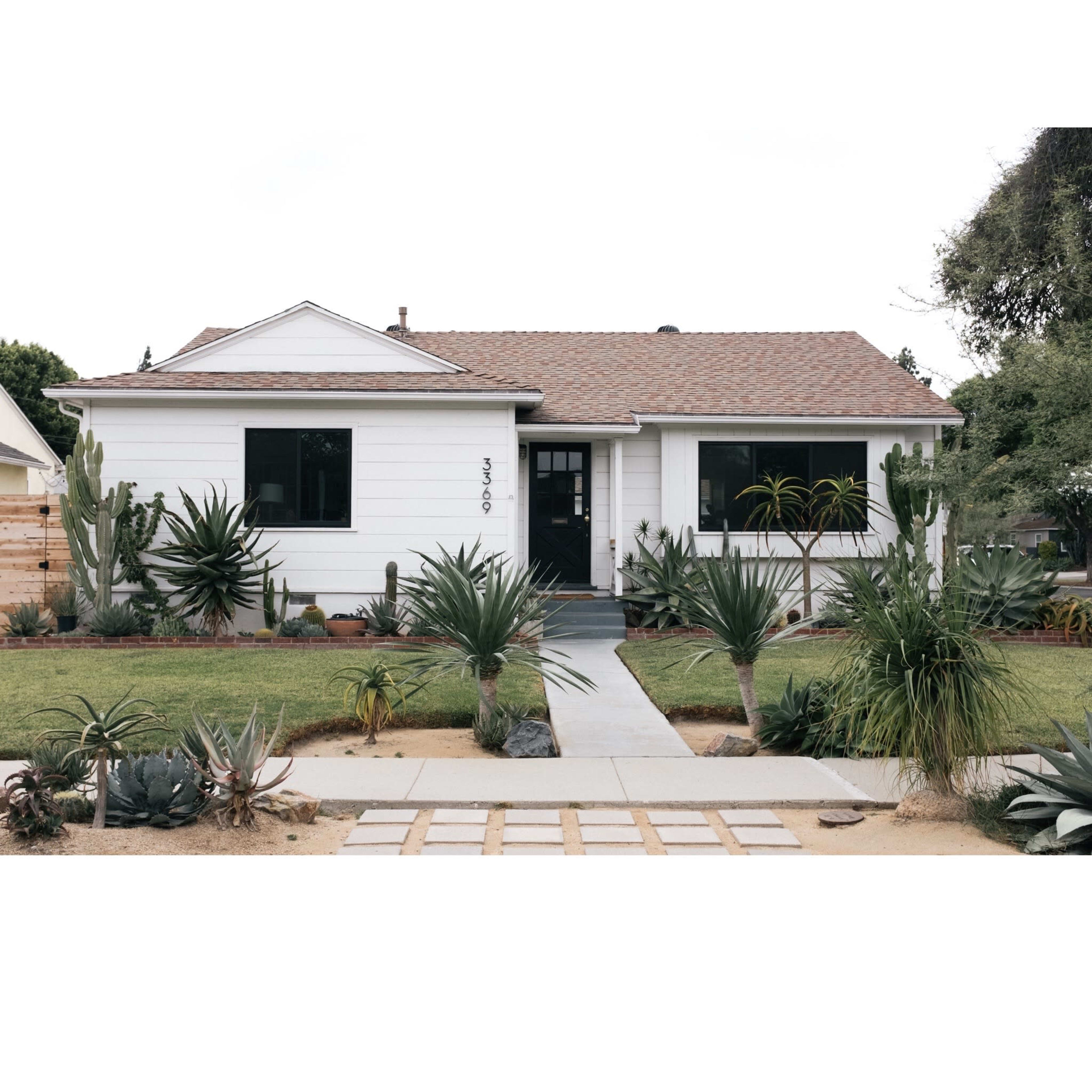 A white suburban house with a brown shingled roof has dark windows and a concrete pathway bordered by various succulents and plants.