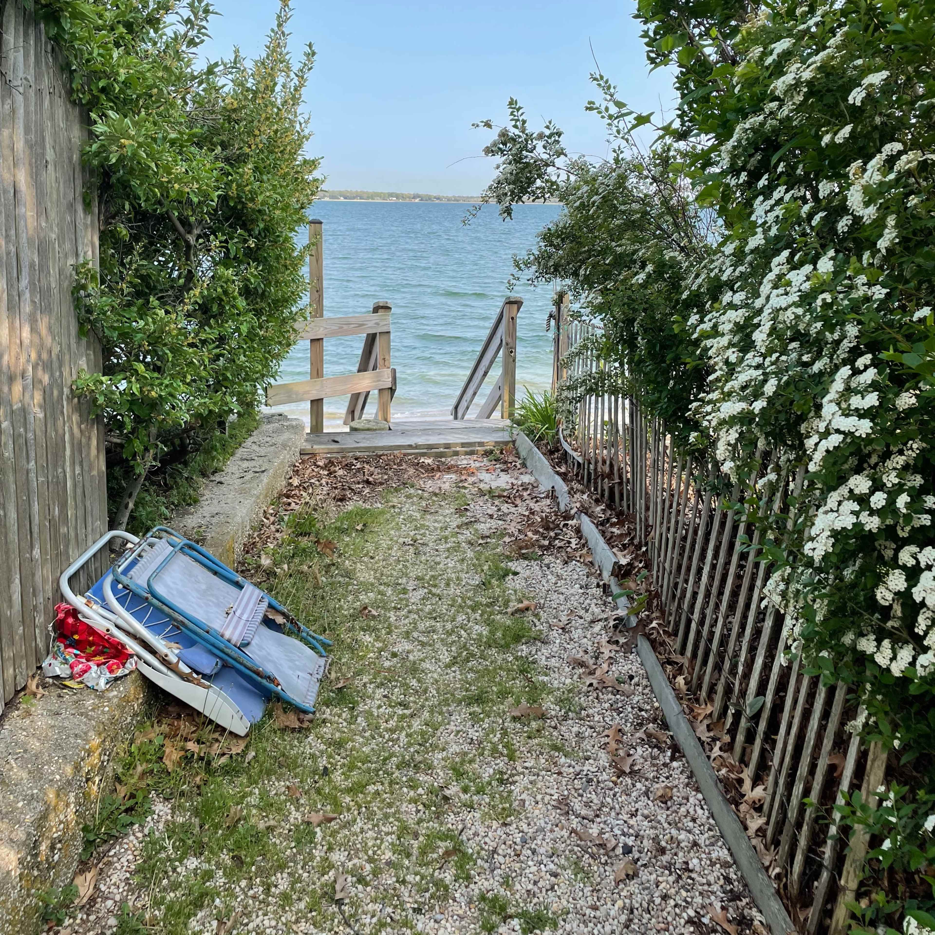 A narrow pathway lined with greenery leads to a wooden dock at the water's edge.