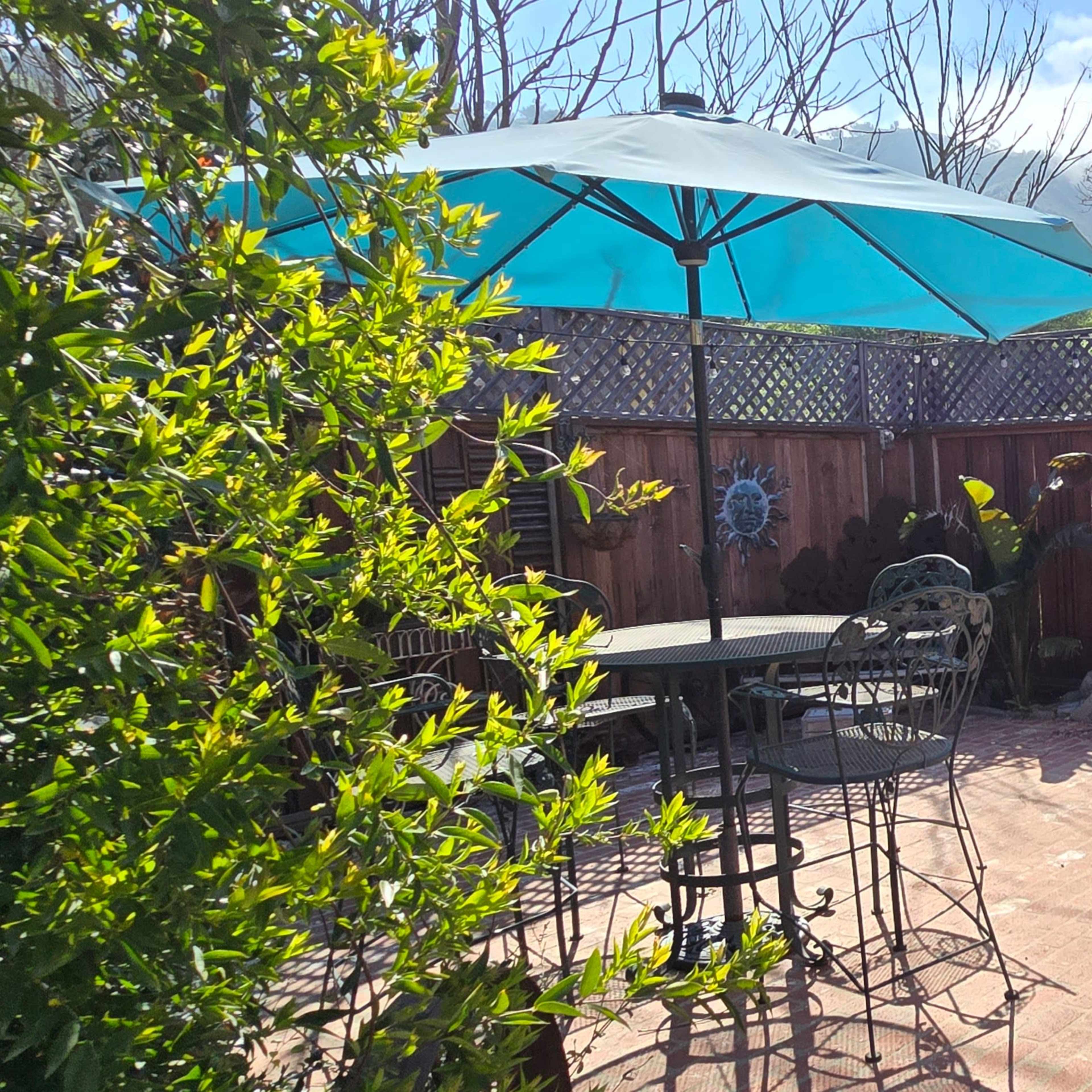 A patio area features a round table and chairs beneath a large turquoise umbrella, surrounded by greenery and a wooden fence.