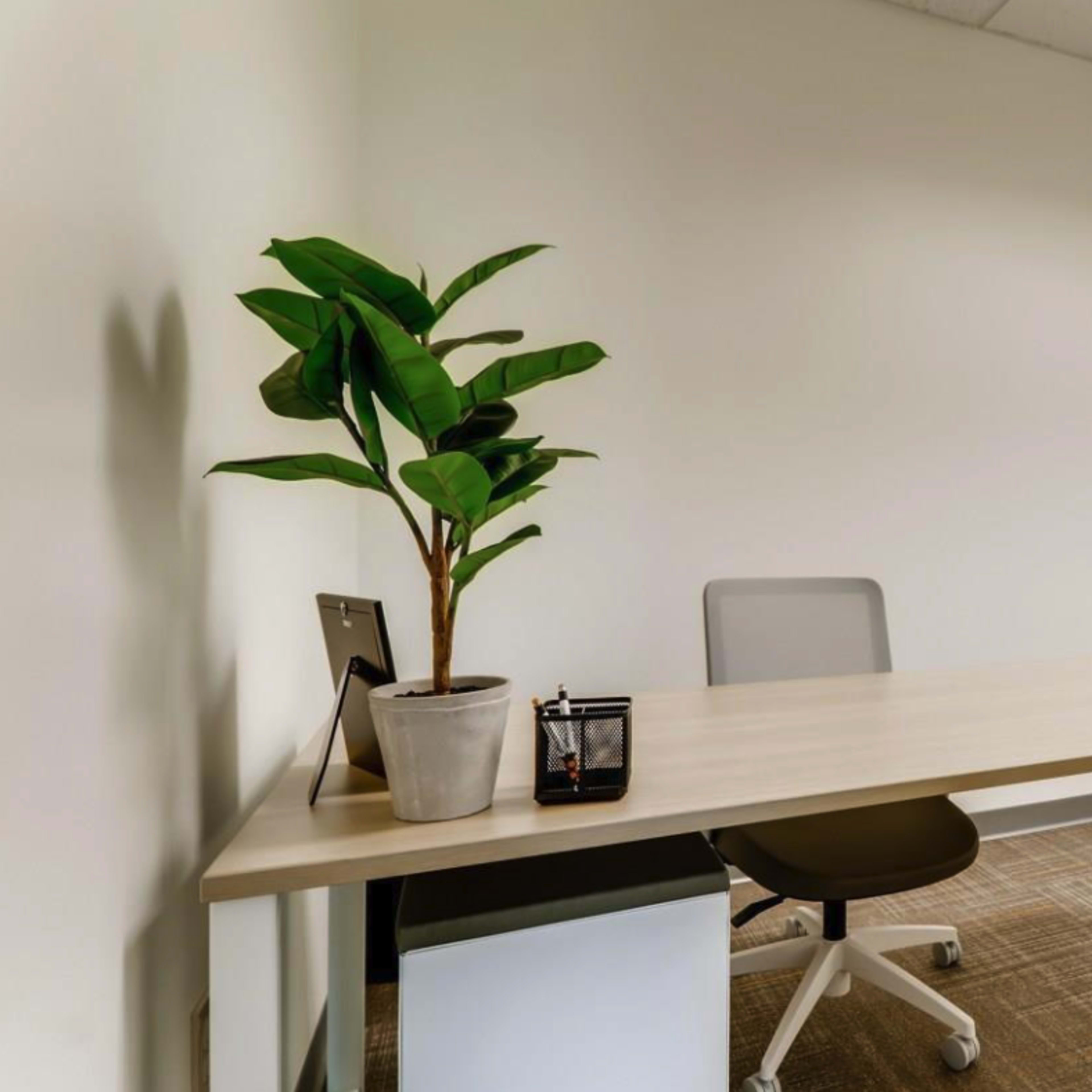 A minimalist office space with a desk, an office chair, a potted plant, and a small storage unit.