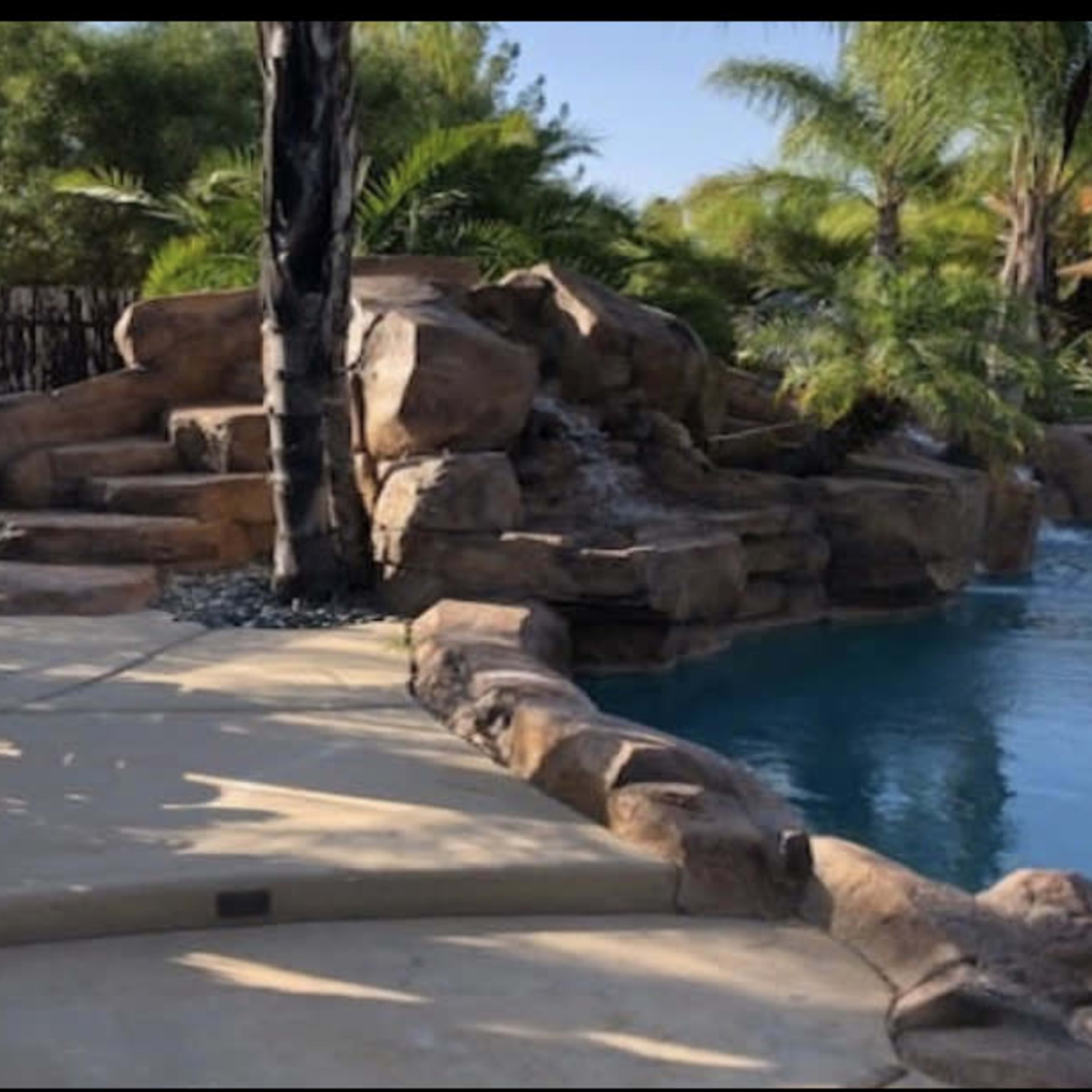A landscaped pool area featuring a rock formation, palm trees, and a shaded seating area.