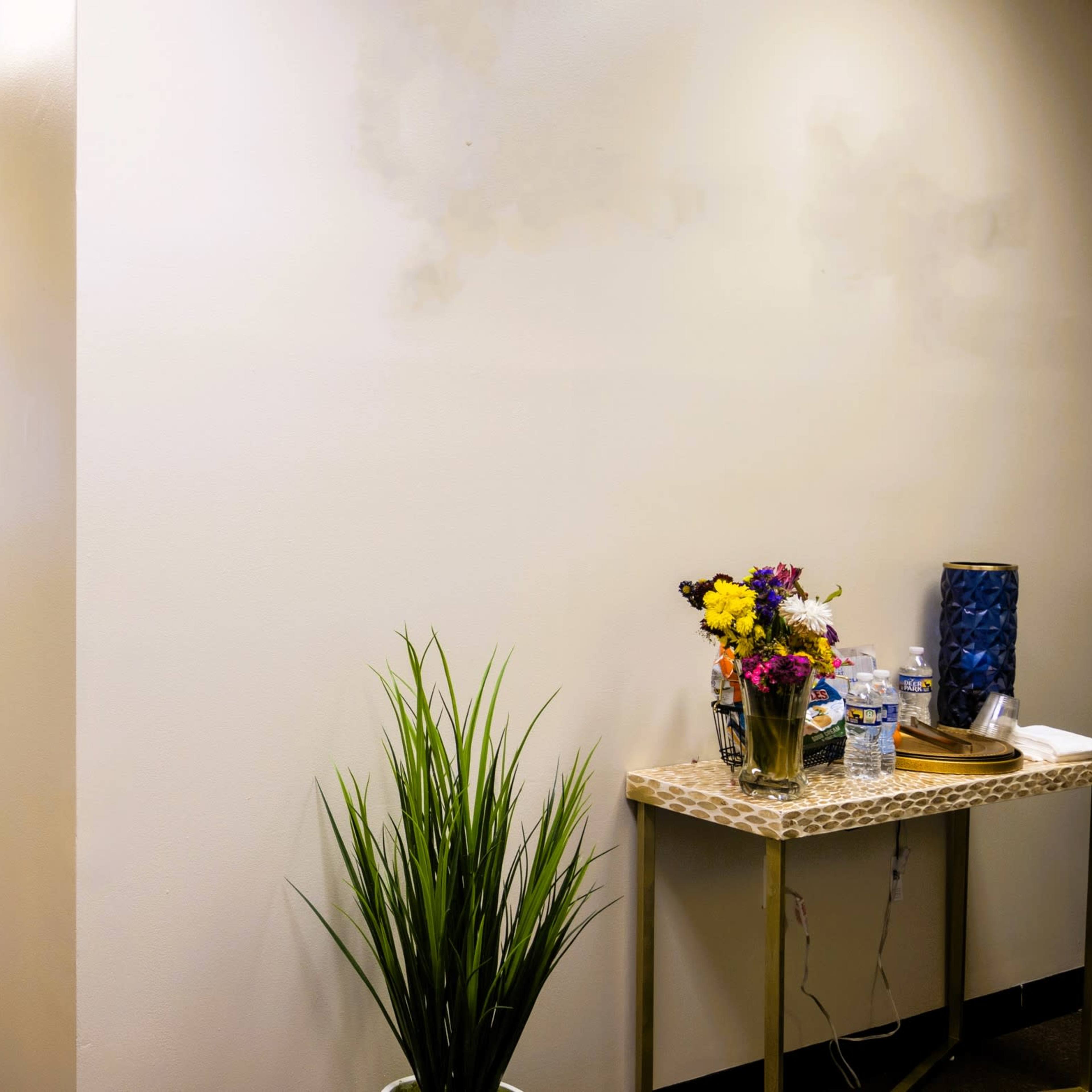A hallway with a plant and a small table on one side, leading to a room with a couch visible in the distance through an open door.