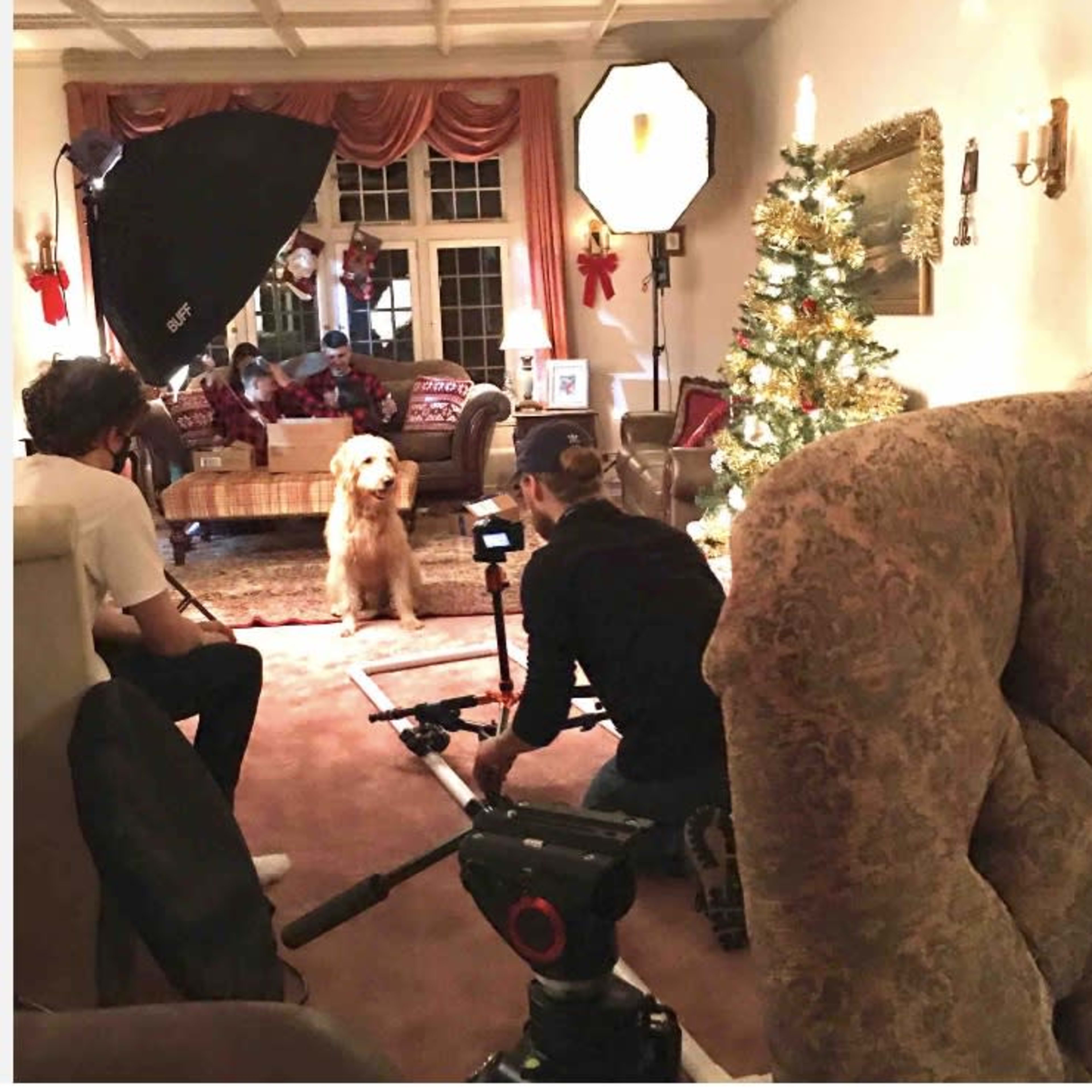 A dog sits in a living room set up for a photoshoot, with crew members and lighting equipment arranged around it.