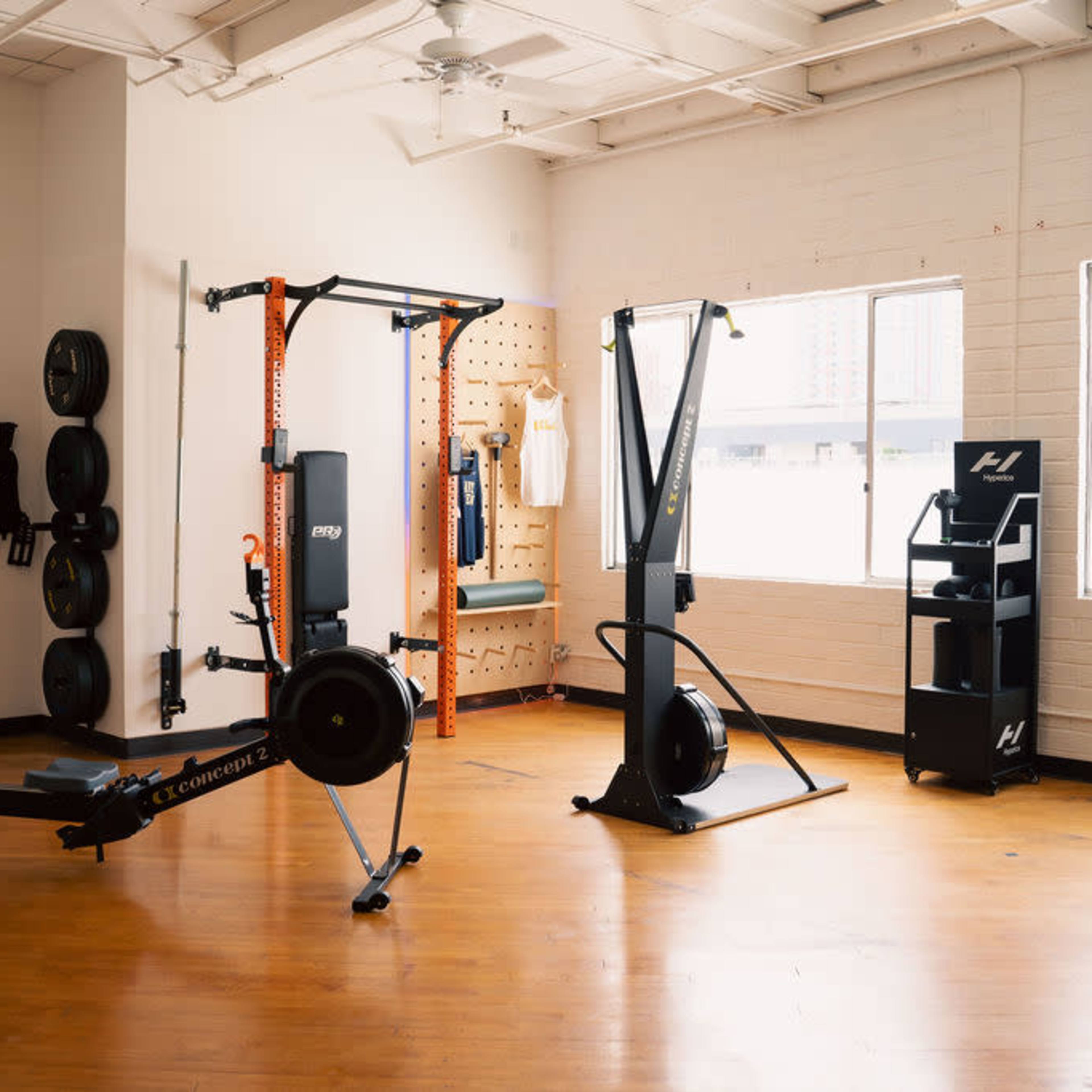 A bright gym interior with exercise equipment including a rowing machine, a dual cable machine, and a vertical jump machine, arranged next to large windows.
