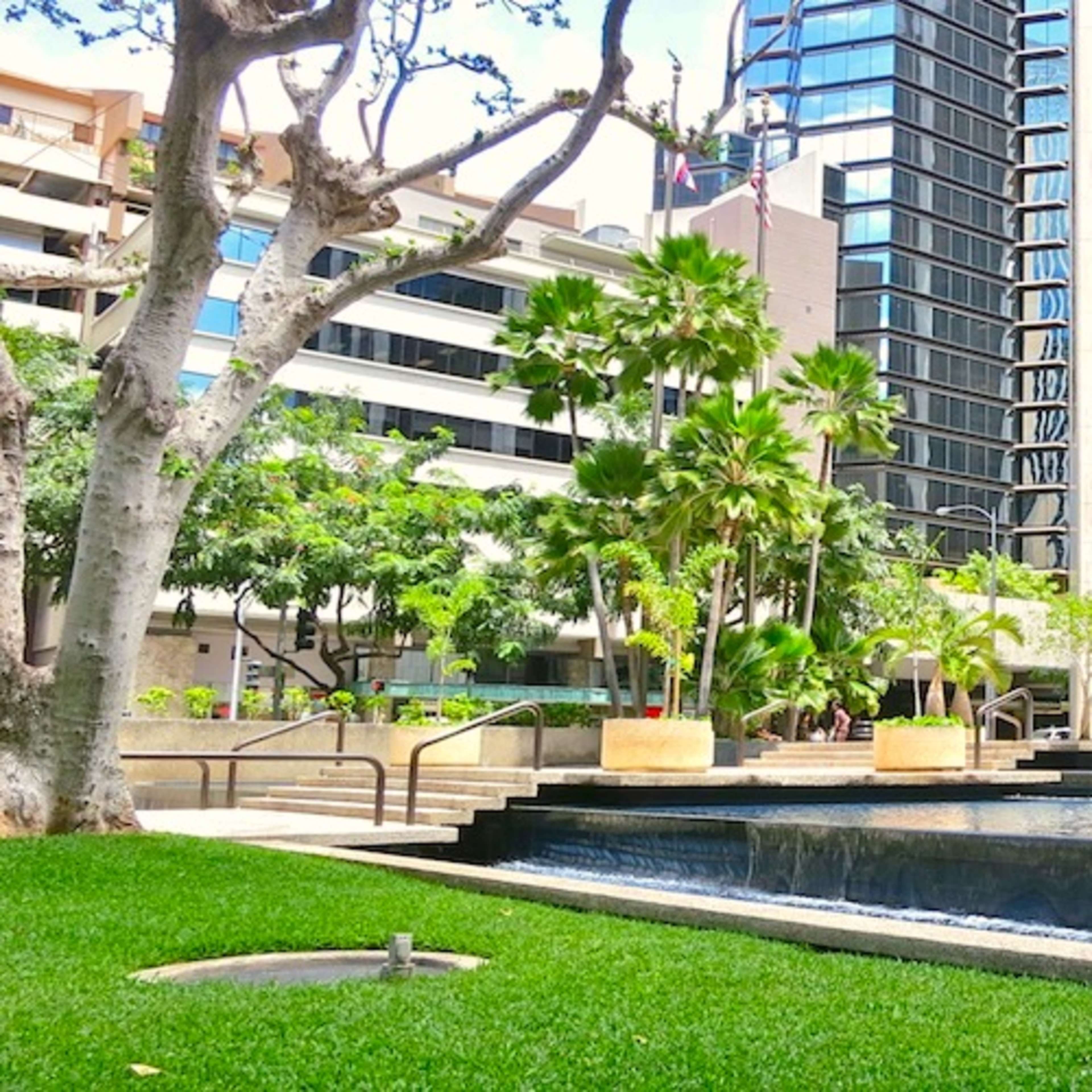 A modern urban plaza featuring palm trees, a water feature, and surrounding high-rise buildings.