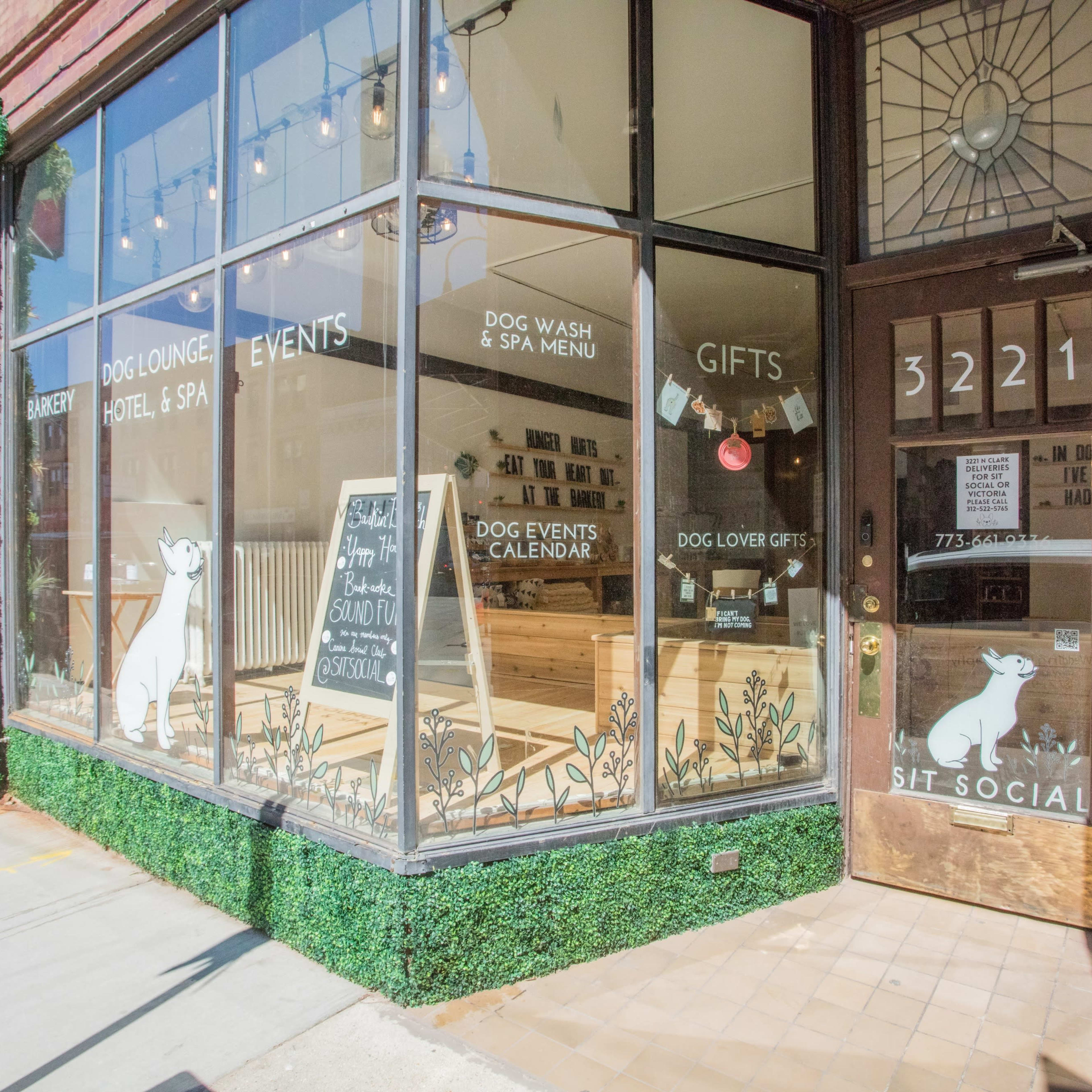 The entrance of a dog-focused business called "Sit Social," featuring large windows with various offerings displayed, including a dog wash and spa menu, alongside a green planted area at the base of the window.