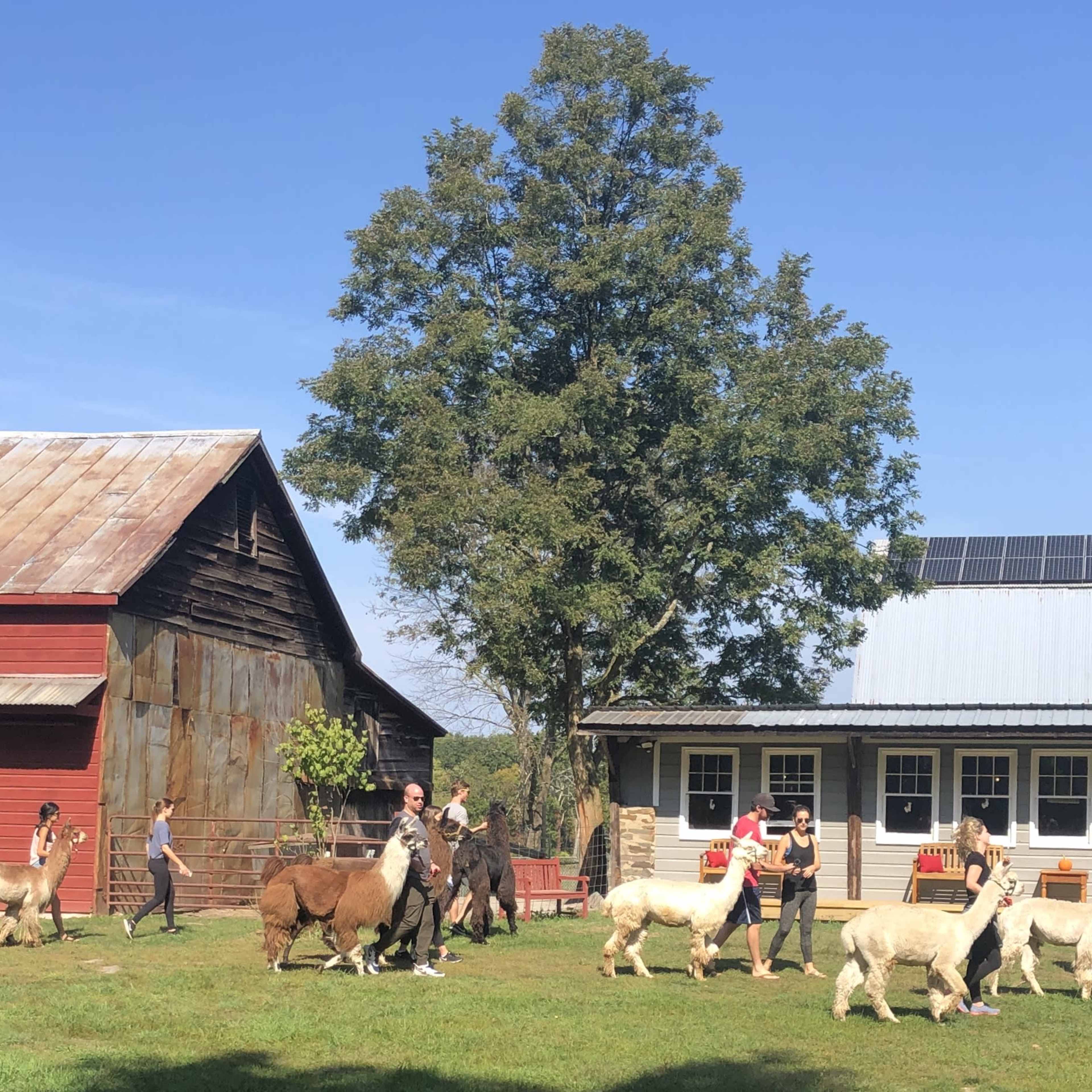 Rustic Charm on 1850 Homestead Farm in Hudson Valley Image in Pleasant Valley, Hyde Park, NY