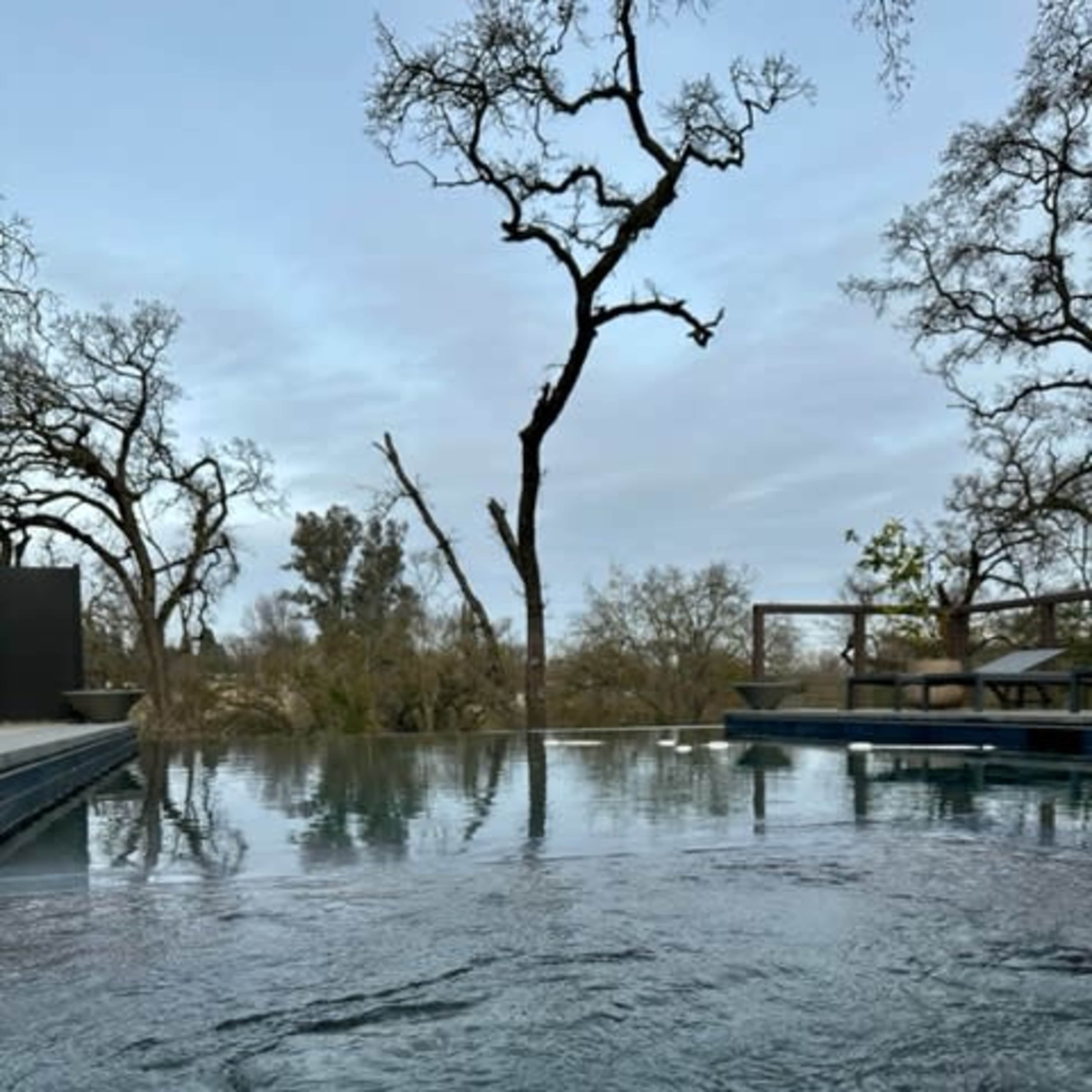 An infinity pool reflecting the sky and surrounding trees in a tranquil outdoor setting.