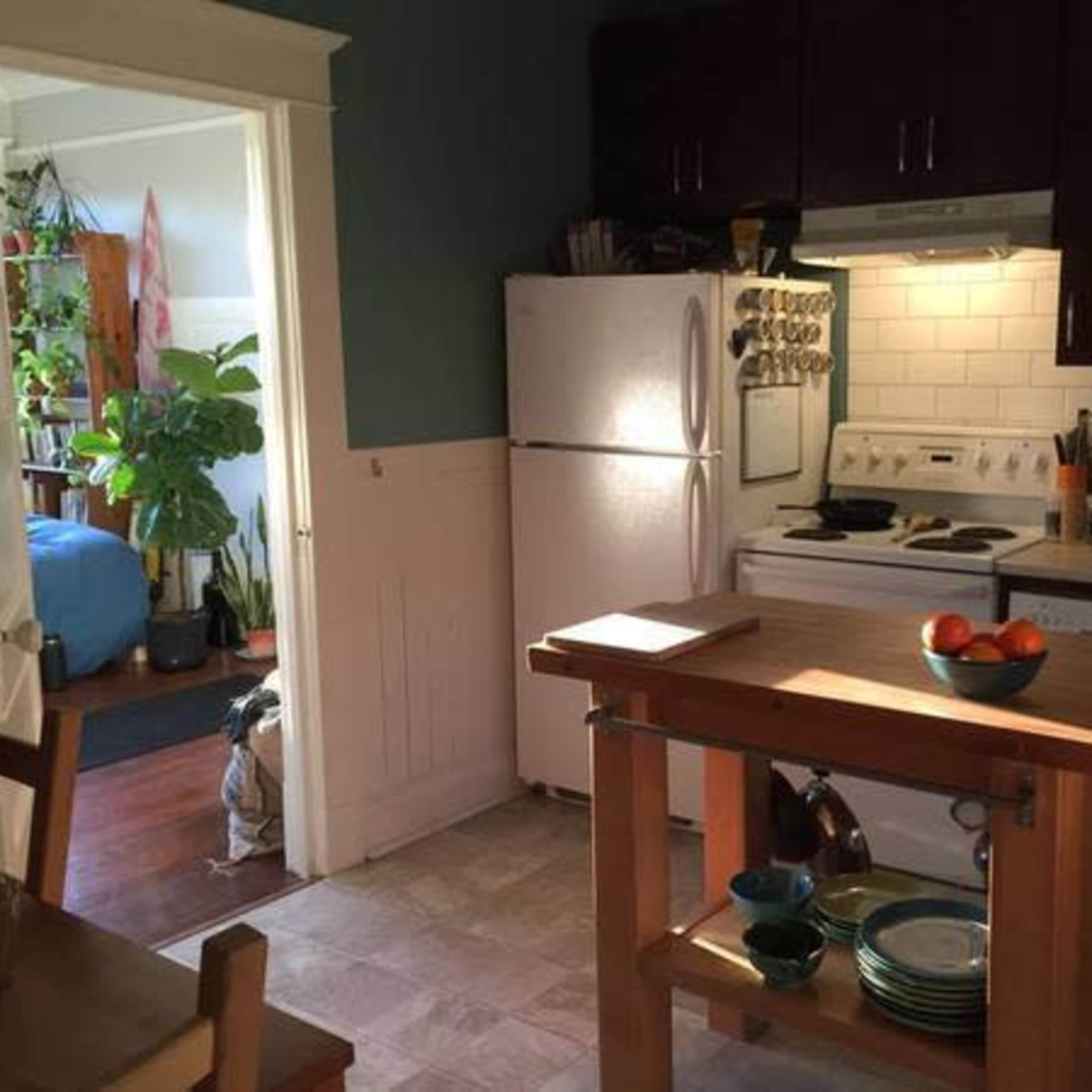A kitchen with white appliances, wooden cabinetry, and a central island with a bowl of oranges on it.