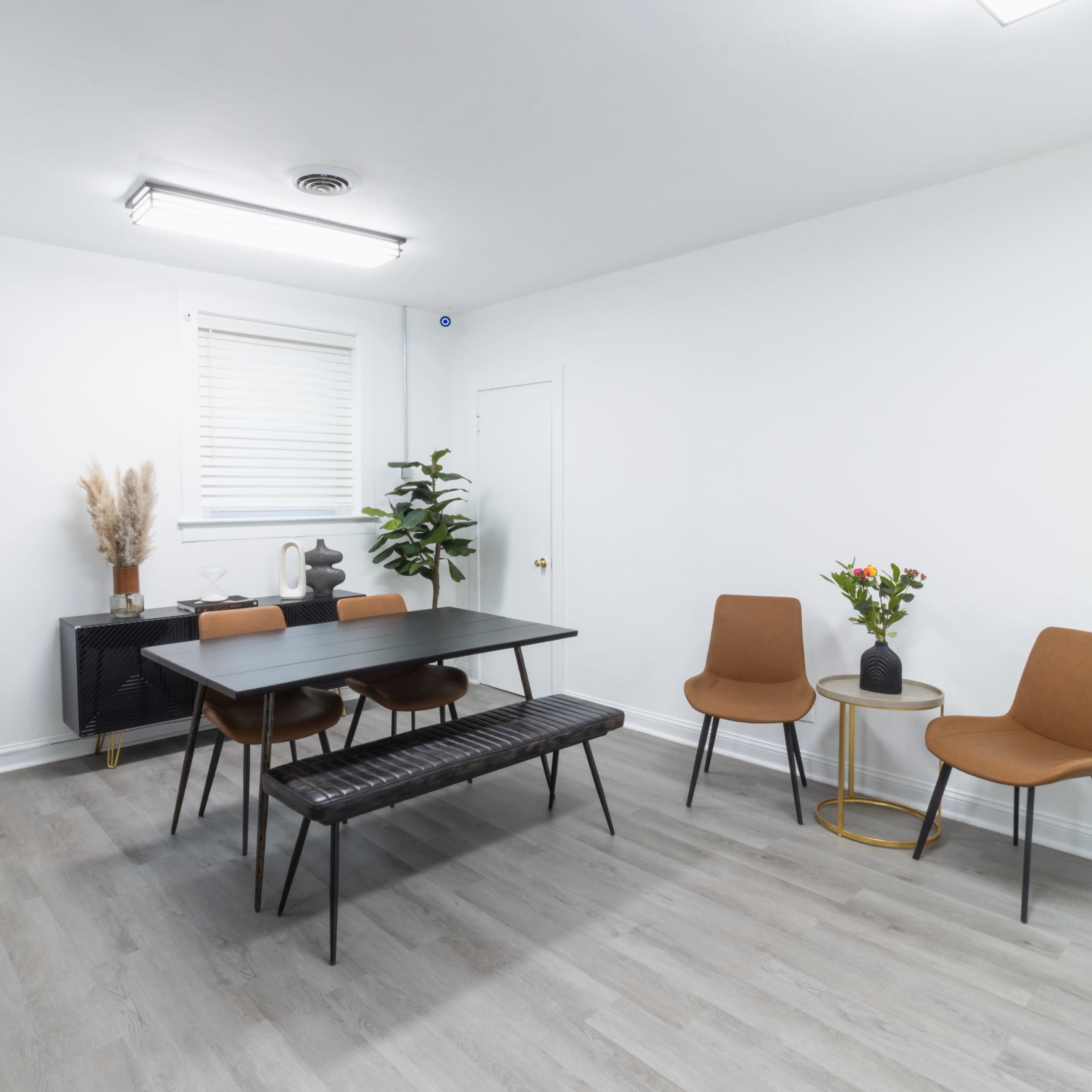 A bright, minimalistic room features a black dining table surrounded by chairs, two plants, and a sideboard.