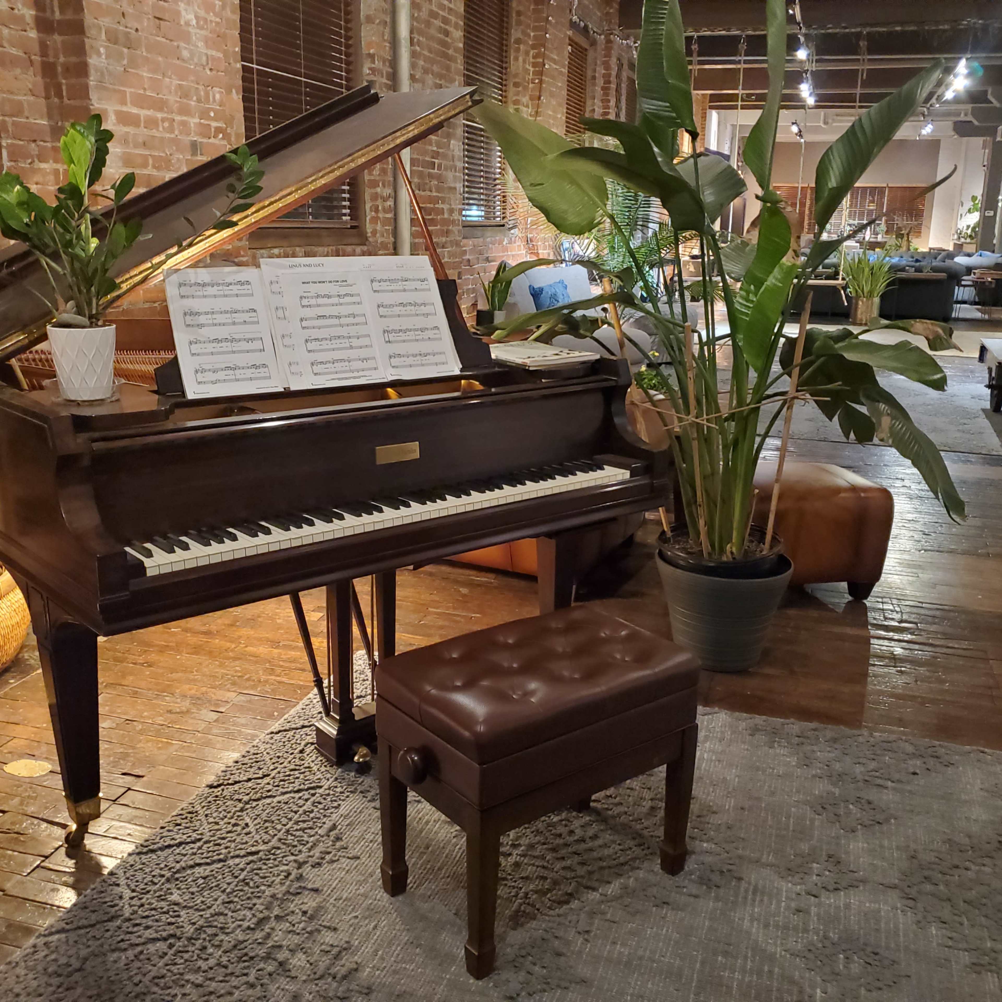 A grand piano with sheet music on the stand sits beside a potted plant in a stylishly decorated lounge area featuring wooden floors and comfortable seating.