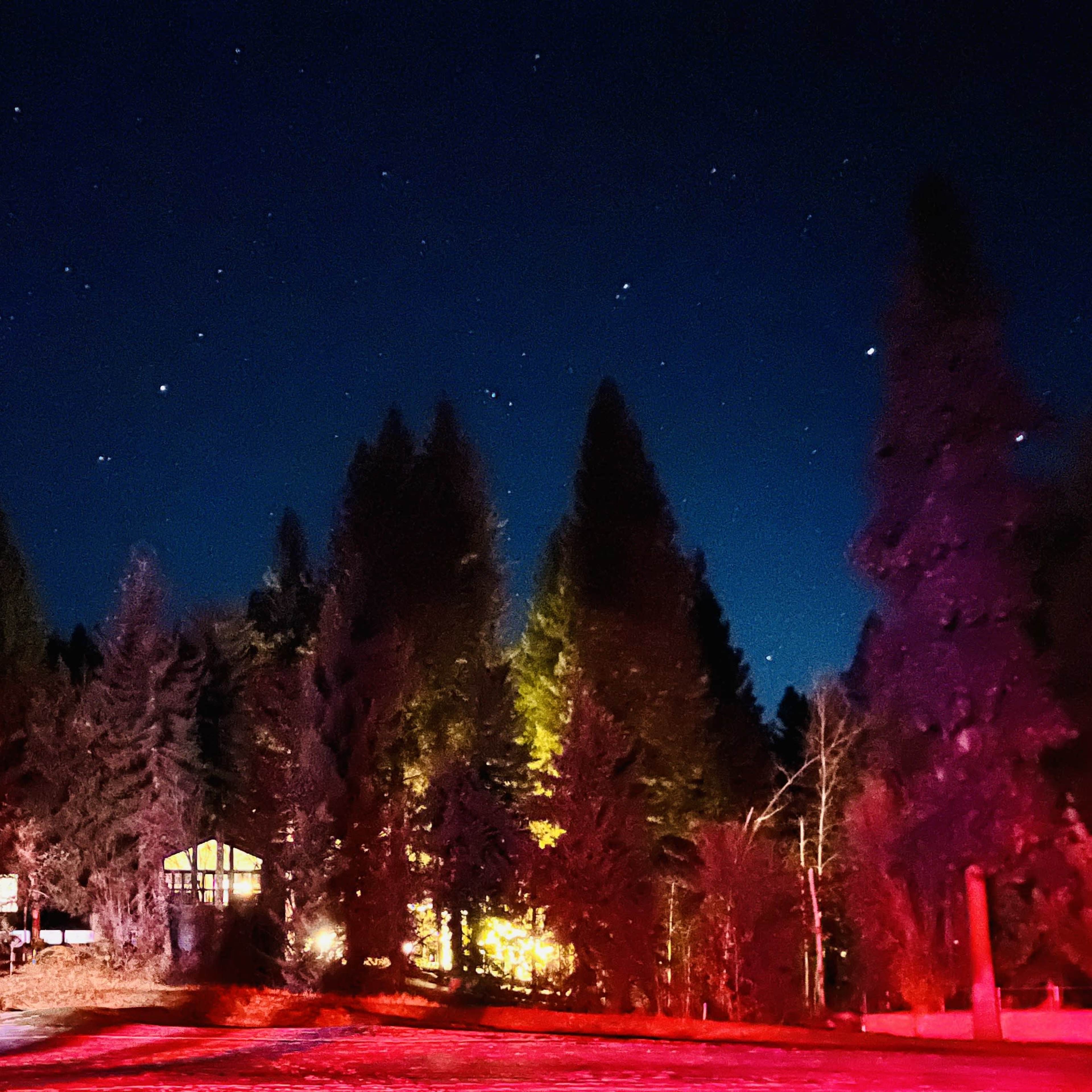 A cabin sits illuminated among tall trees under a starry night sky.
