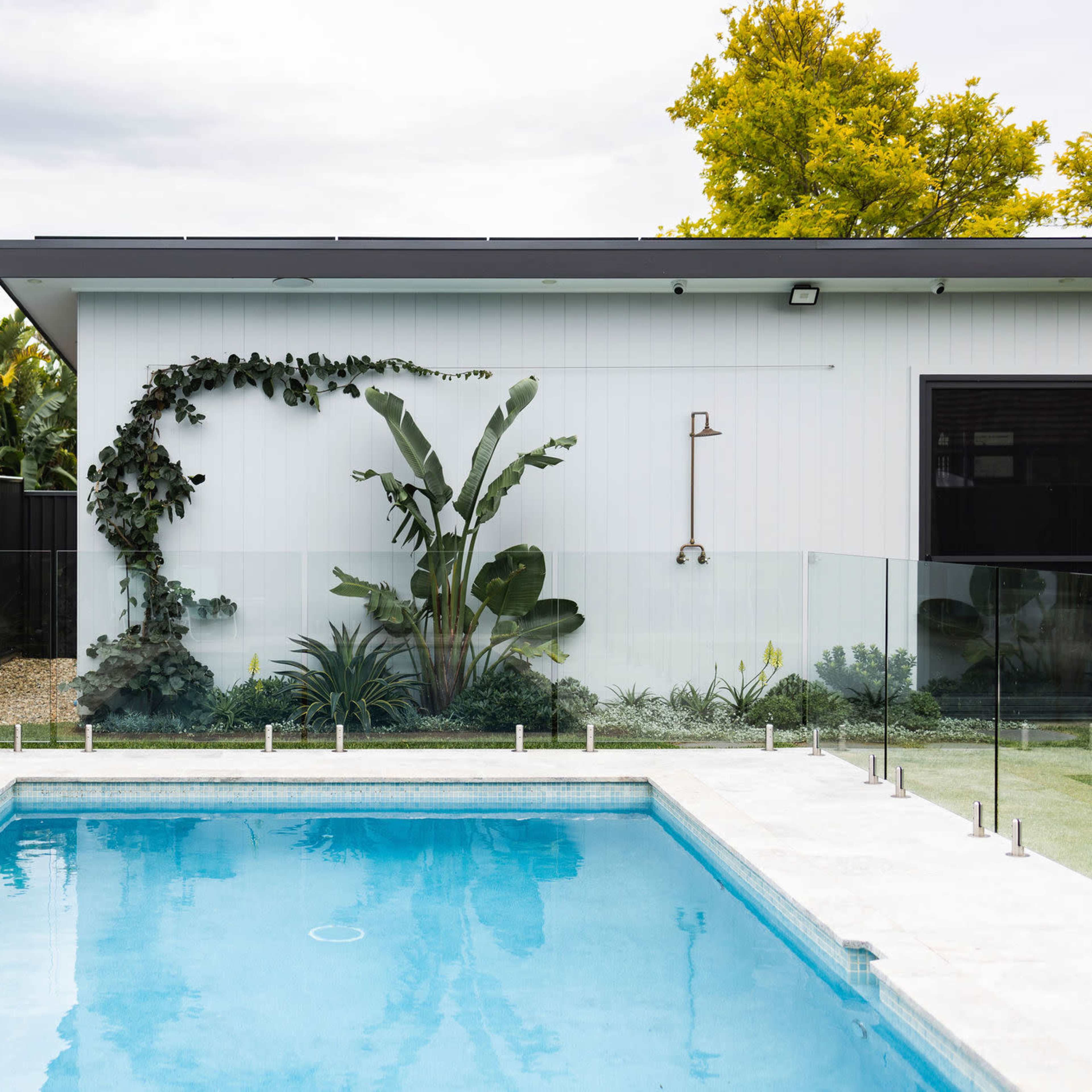 A clear swimming pool is surrounded by landscaped greenery and a modern building featuring an outdoor shower.