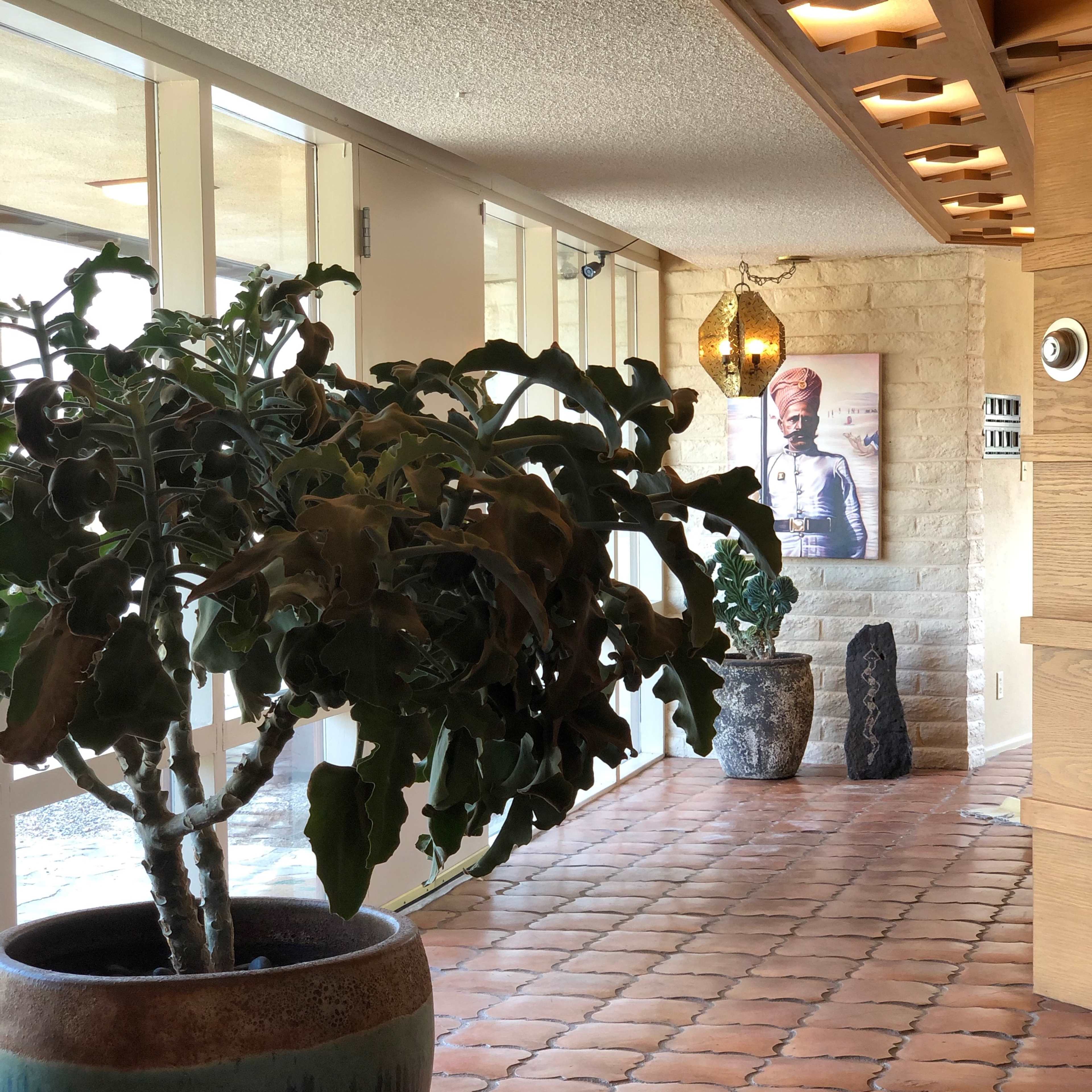 A hallway featuring a large potted plant, decorative stone sculptures, and a wall-mounted art piece.