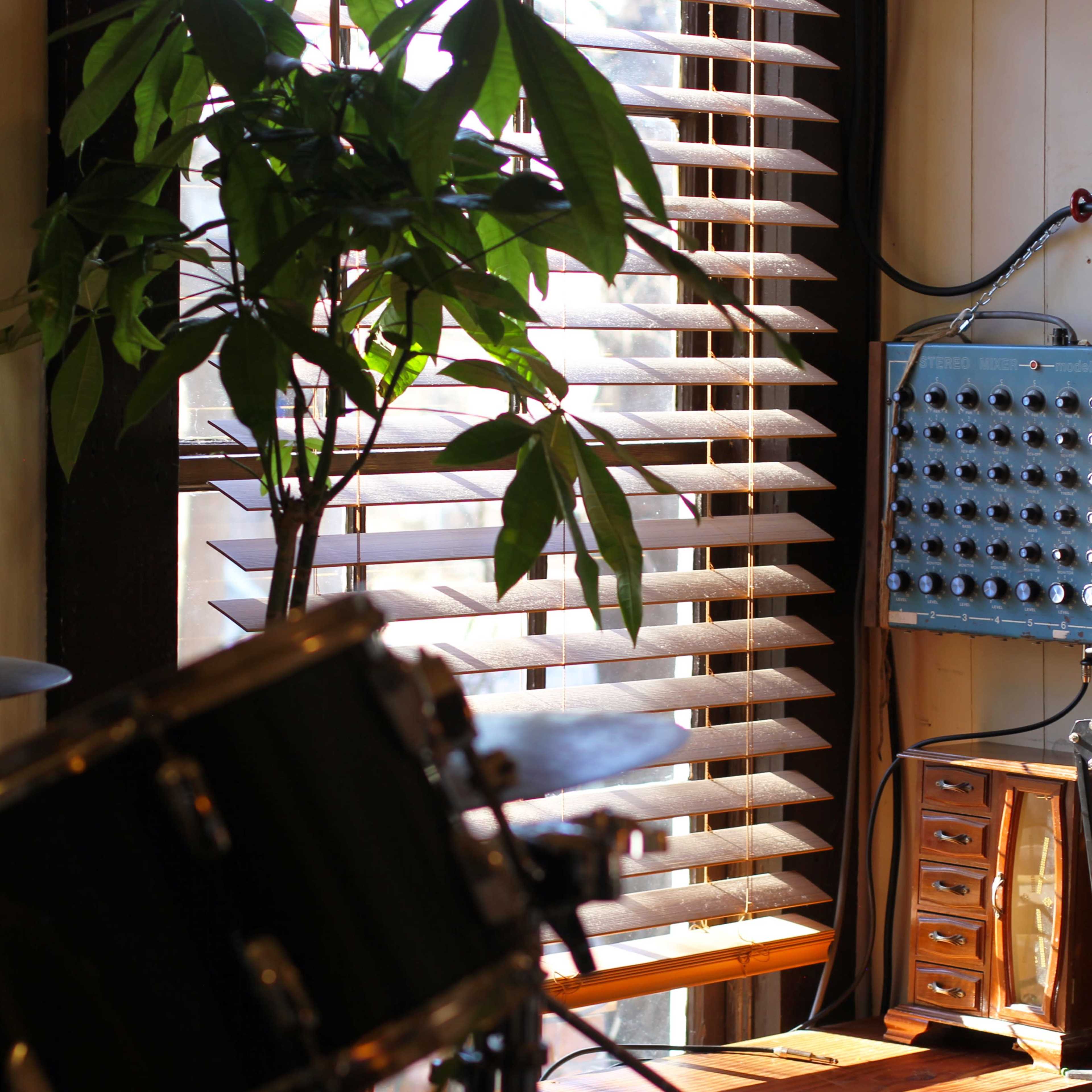 A sunlight-filled corner of a room features a potted plant, a drum set, and a panel with numerous knobs mounted on the wall.