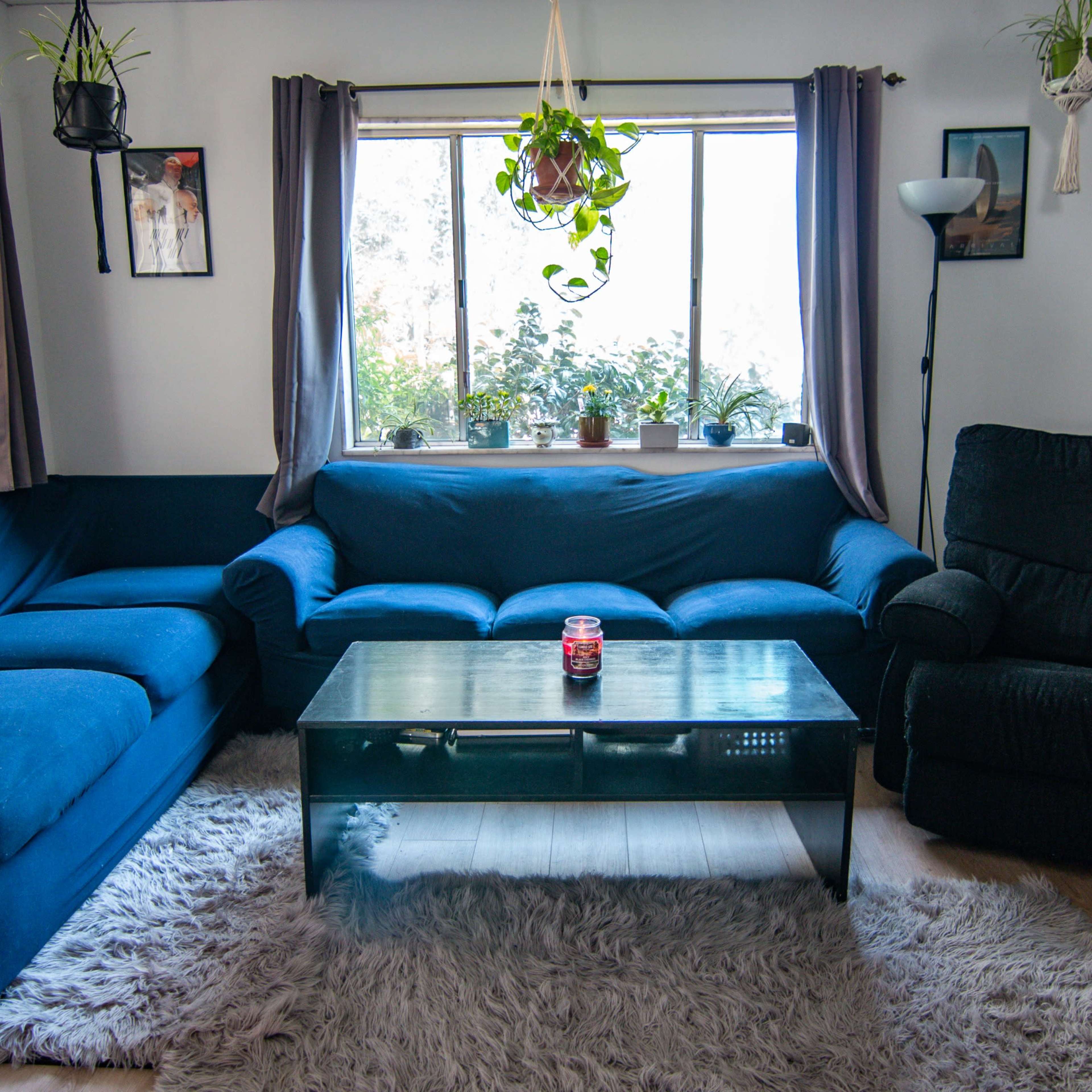 A living room featuring blue upholstered furniture, a glass coffee table, a light rug, and plants on the windowsill.