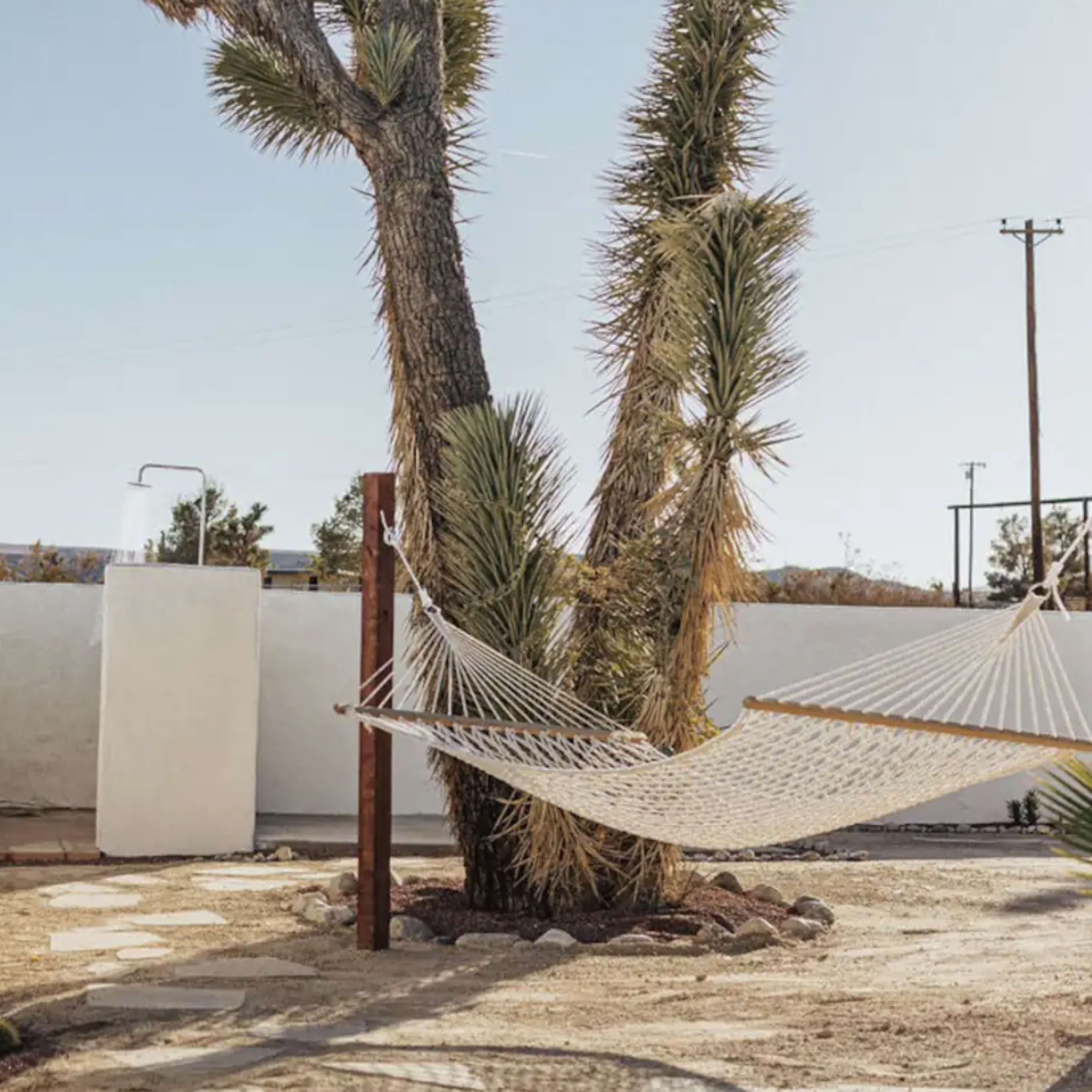 A hammock is suspended between two large desert trees in a sandy yard enclosed by a white wall.