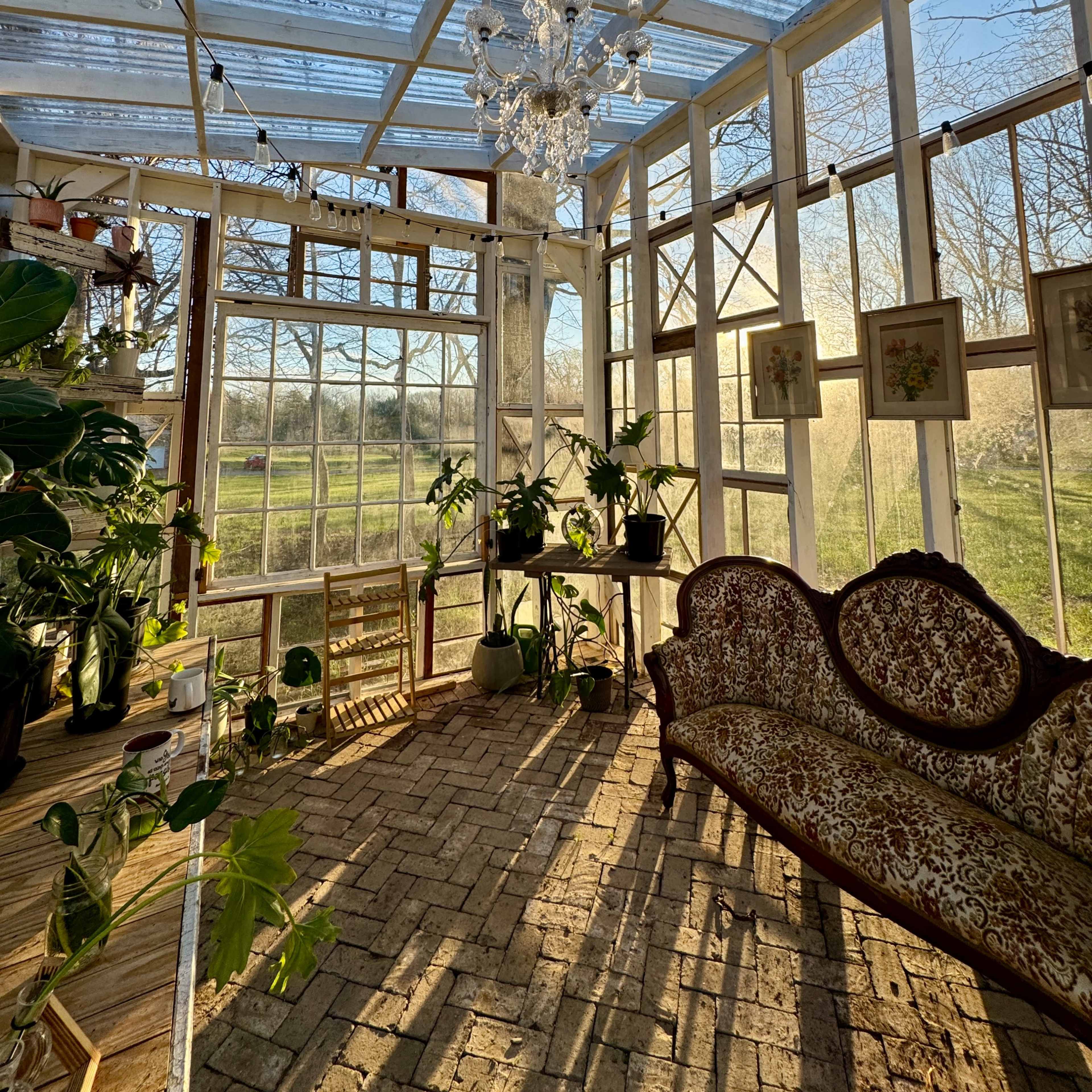 Coopertown Greenhouse Image in Coopertown, Springfield, TN
