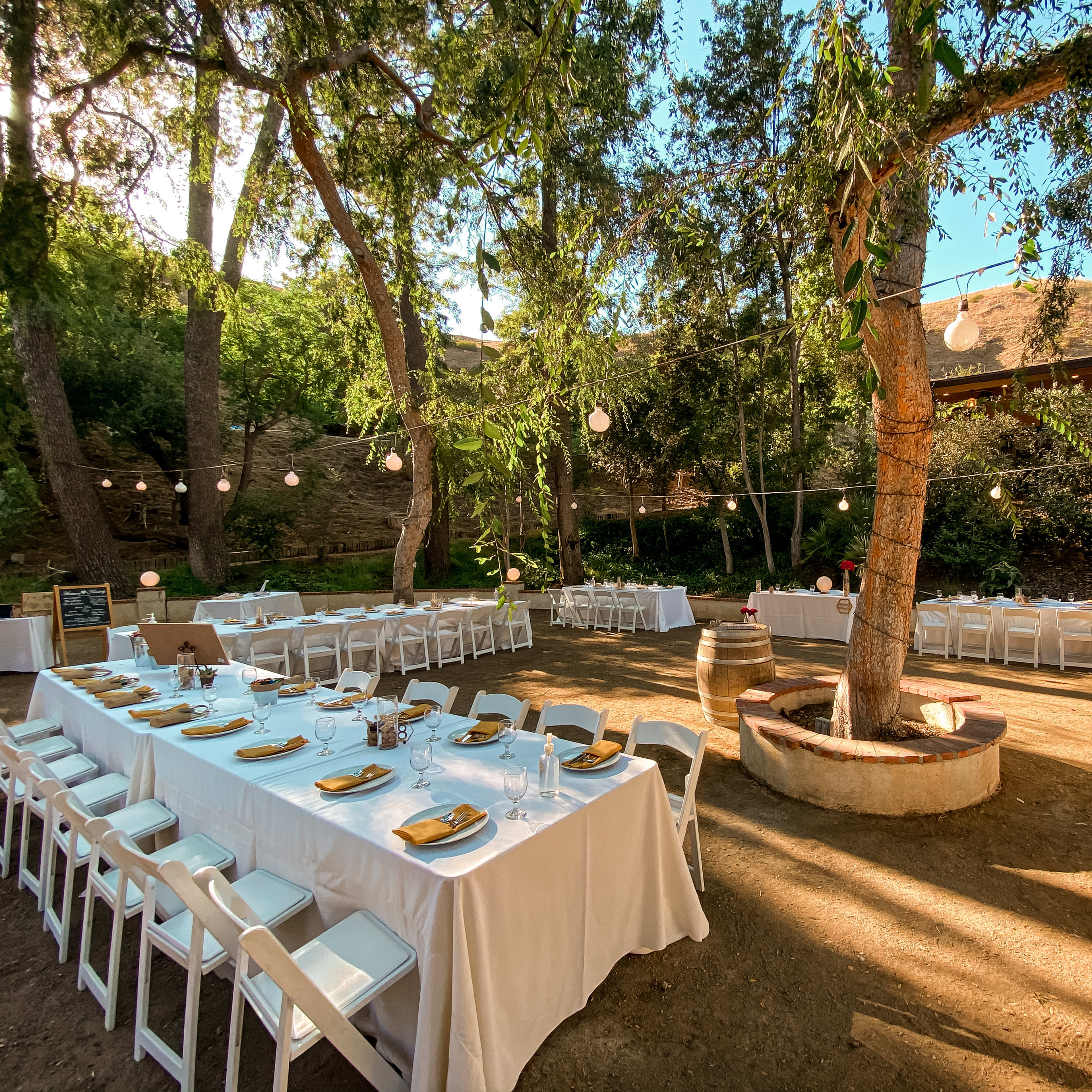 A well-arranged outdoor dining area features long tables adorned with white tablecloths, surrounded by trees and string lights.