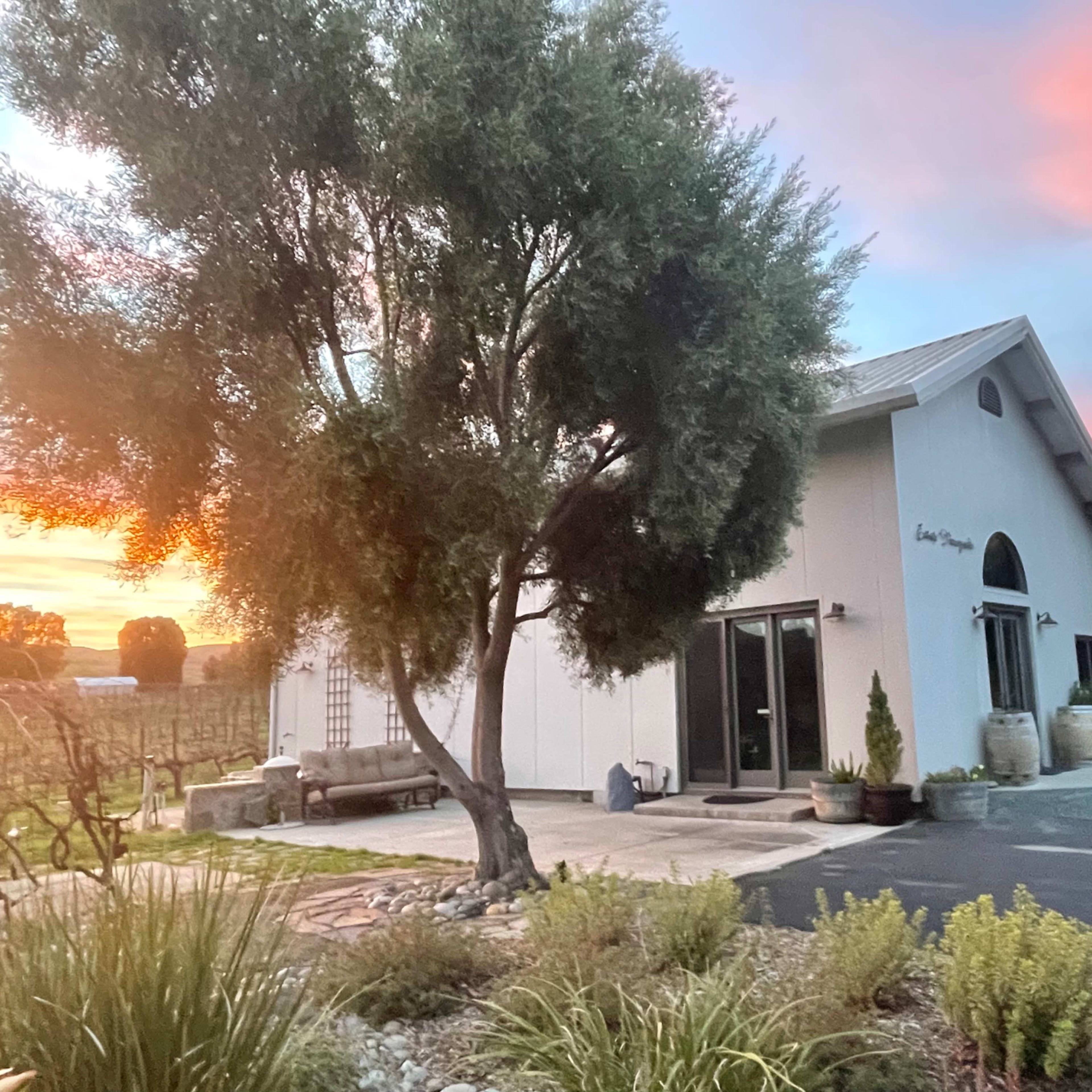 A modern winery building with large windows is set against a backdrop of a colorful sunset, surrounded by lush greenery and vineyard rows.