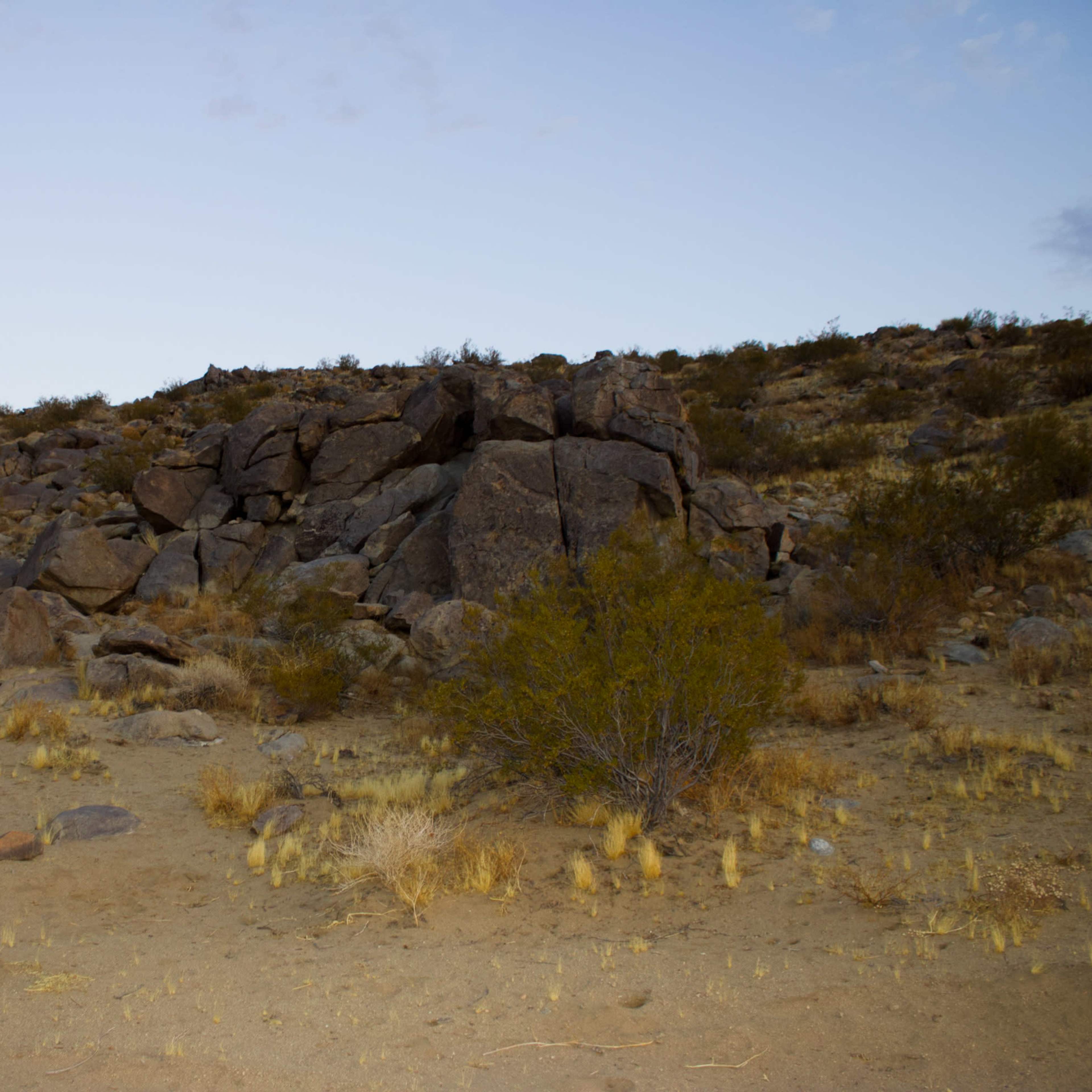 Desert Ranch with 360 Views Image in , Johnson Valley, CA