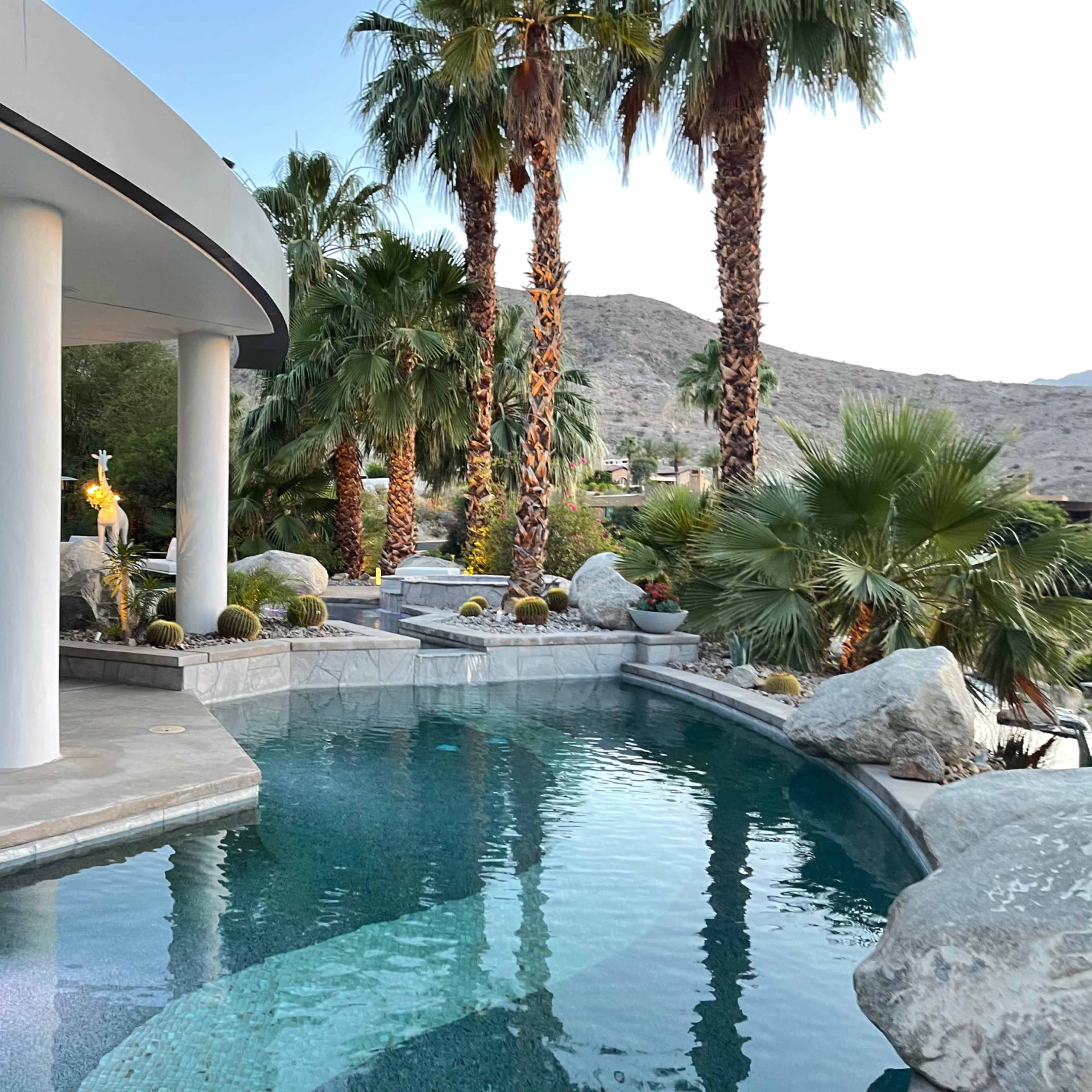 The scene features a modern patio with a curved pool surrounded by palm trees and rocky landscaping.