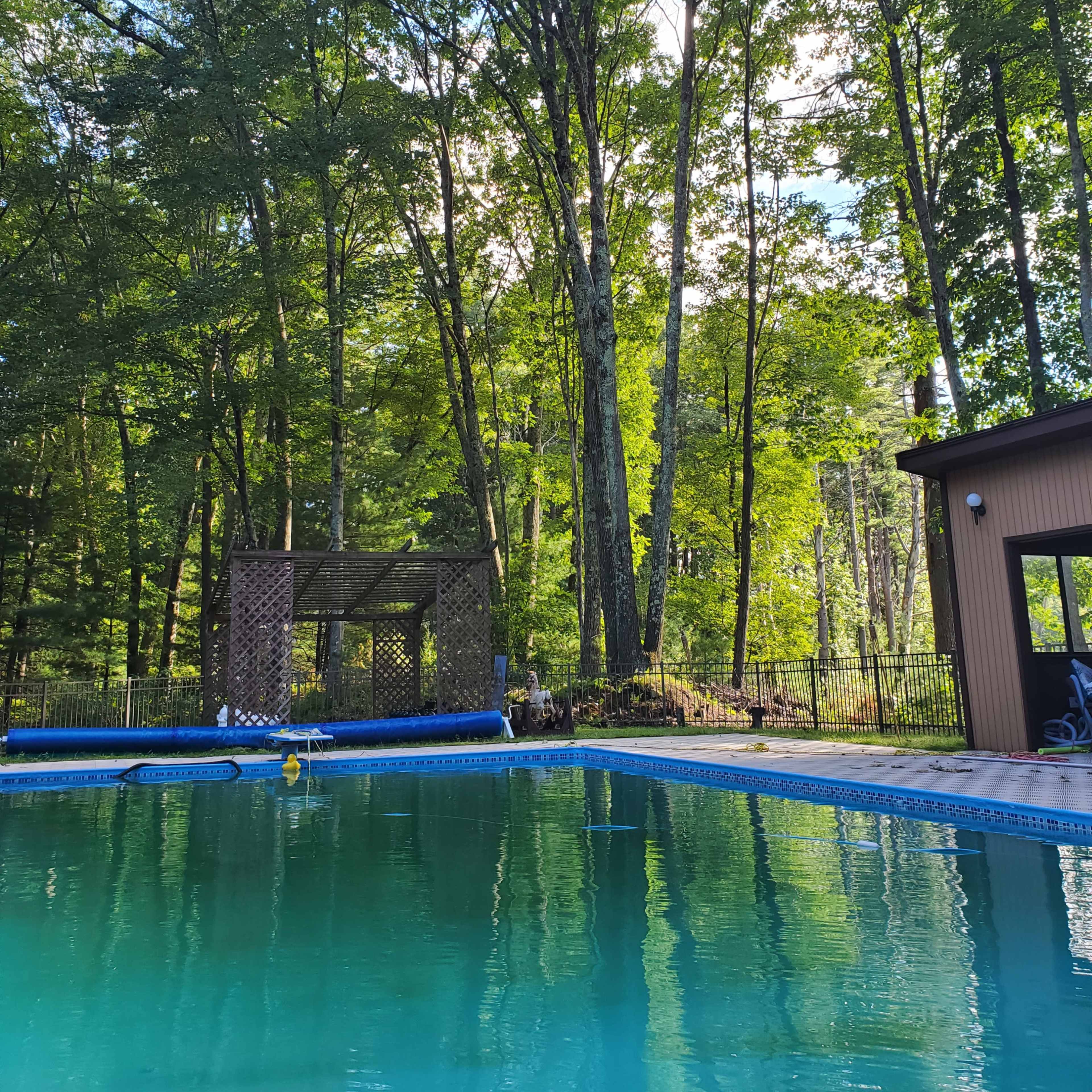 A clear swimming pool is surrounded by tall trees and a wooden structure in a forested area.