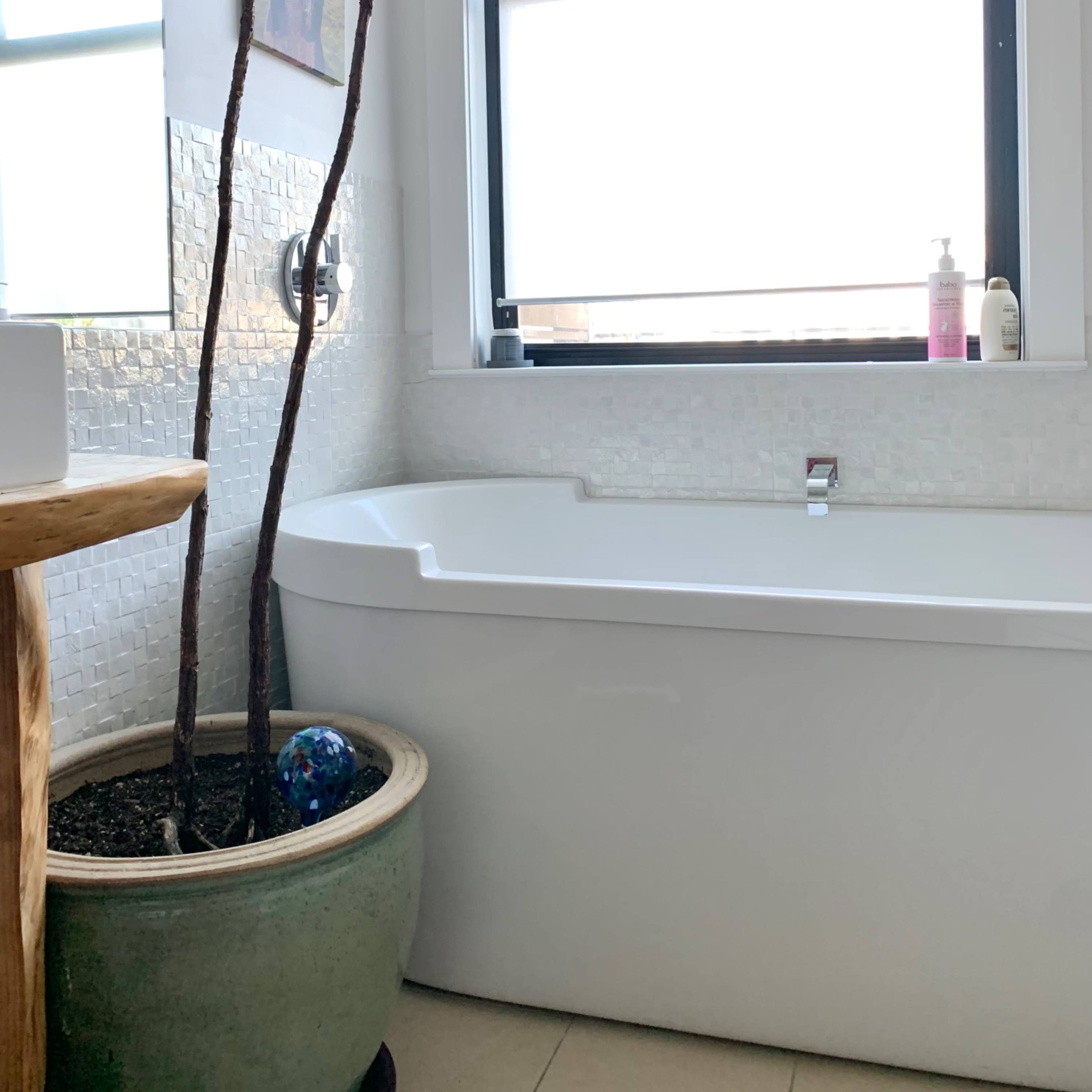 A white bathtub sits beside a potted plant in a bright bathroom with a window and a mirror.