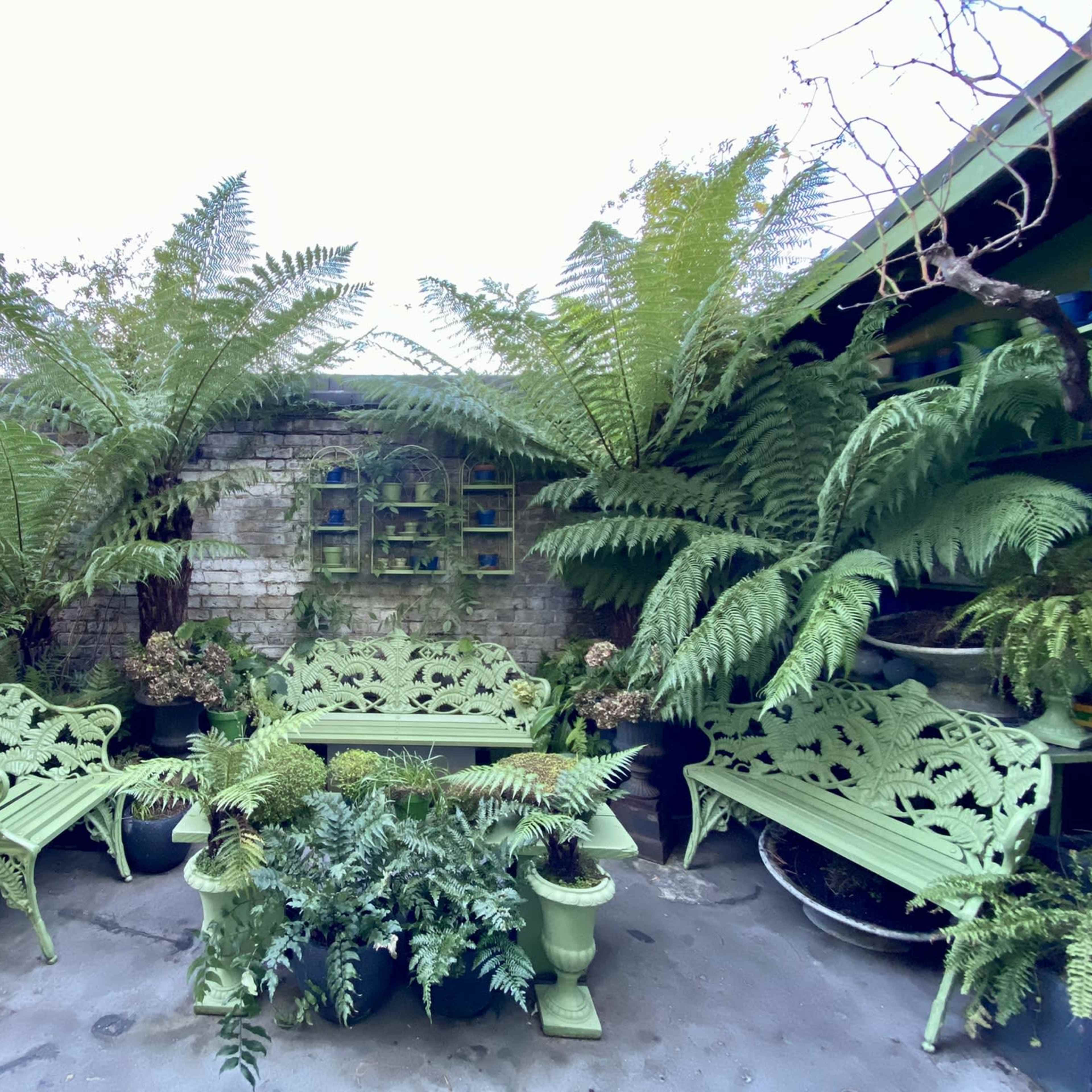 A spacious, indoor area filled with various green plants, featuring a large sofa, wicker furniture, and a staircase leading to an upper level.