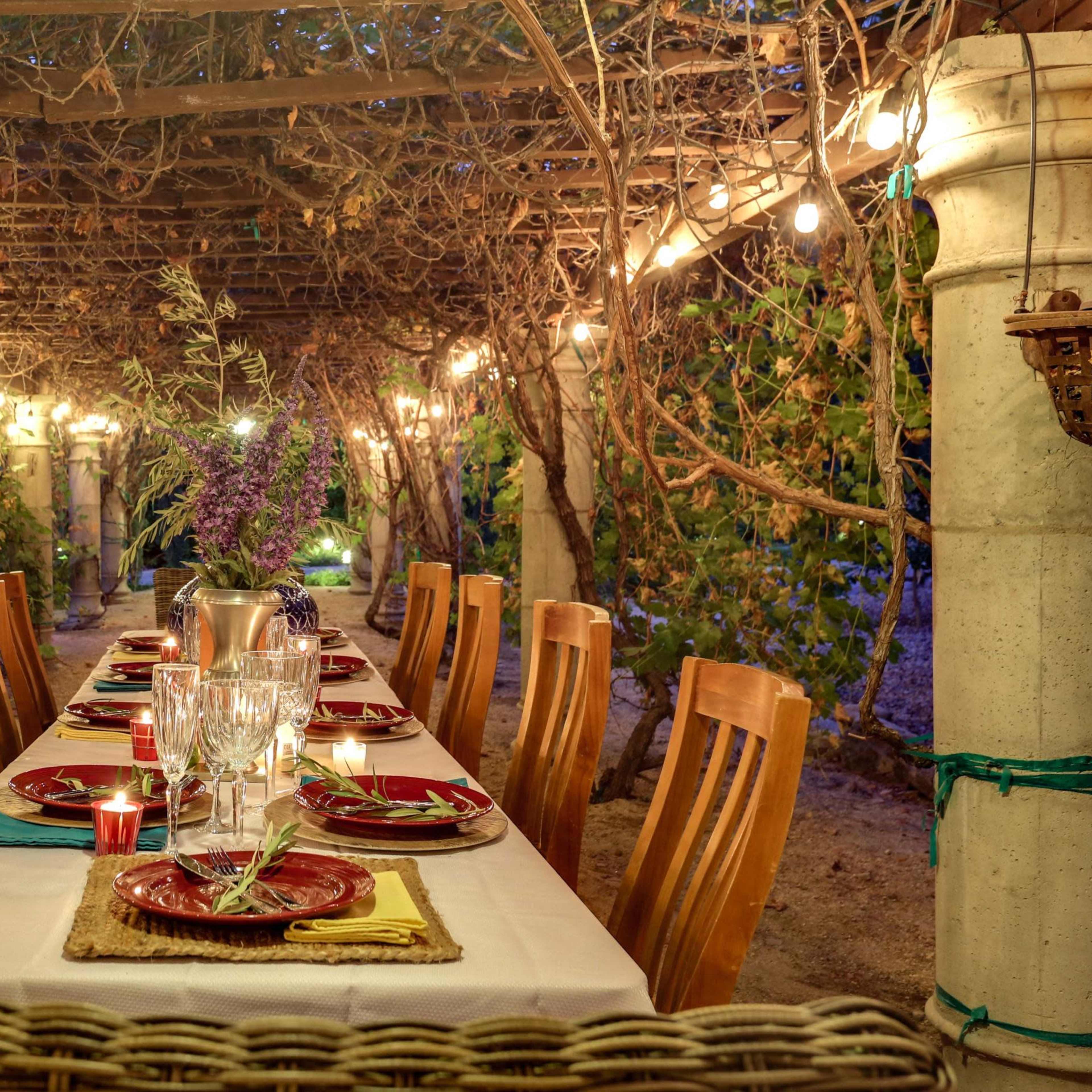 A long dining table is set under a vine-covered pergola, illuminated by string lights and surrounded by wooden chairs.