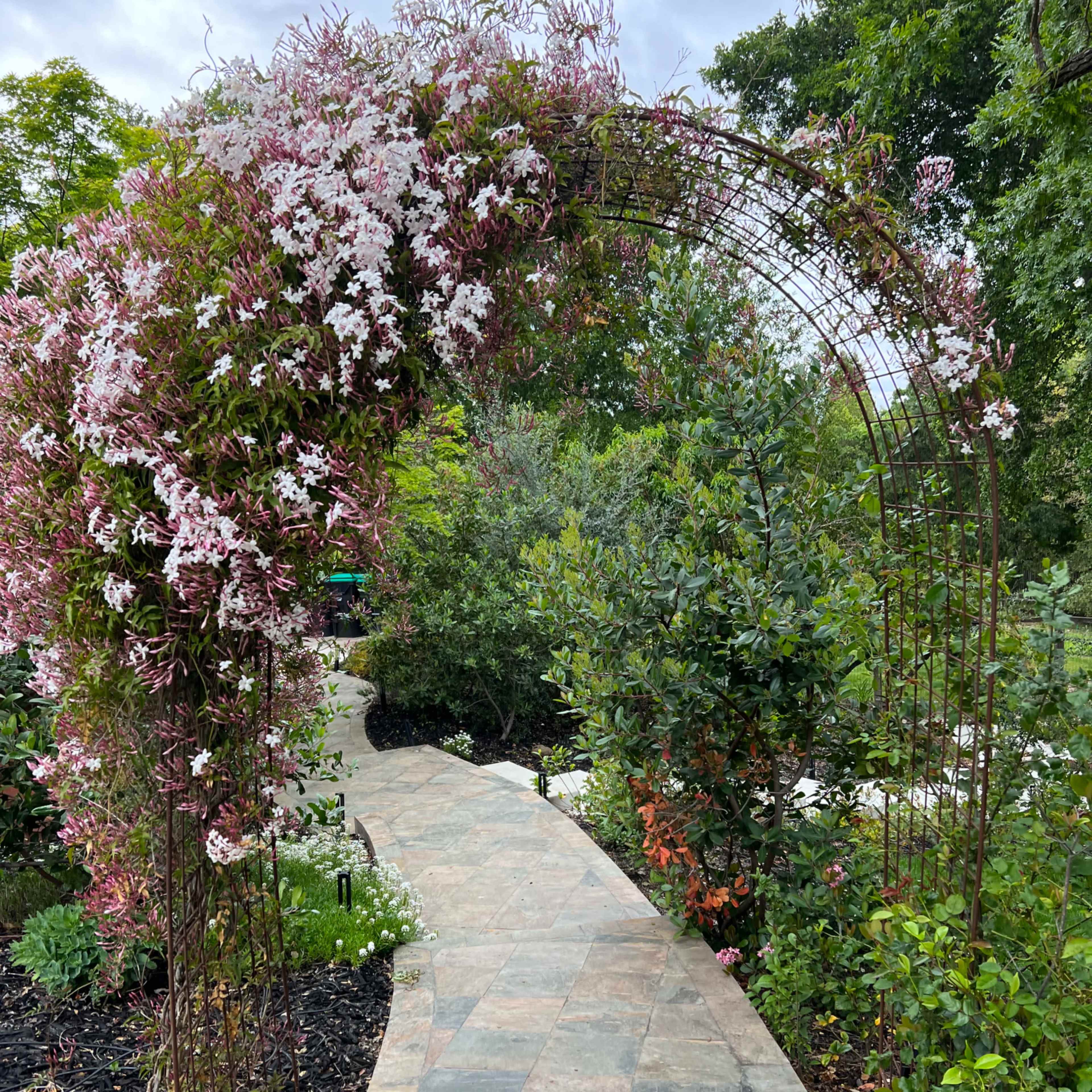 A stone pathway winds through a garden adorned with an arch covered in flowering vines.